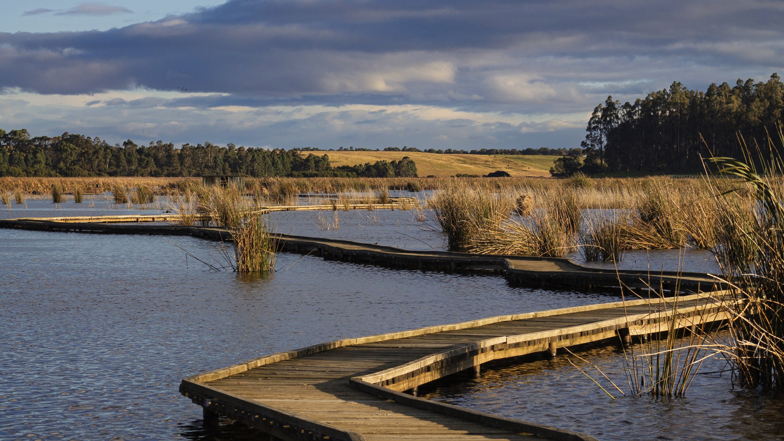 An afternoon view across Macleod Morass, with the boardwalk winding through the wetlands towards the farmland beyond. The low winter light catches the reeds and distant hills beneath a gathering sky.