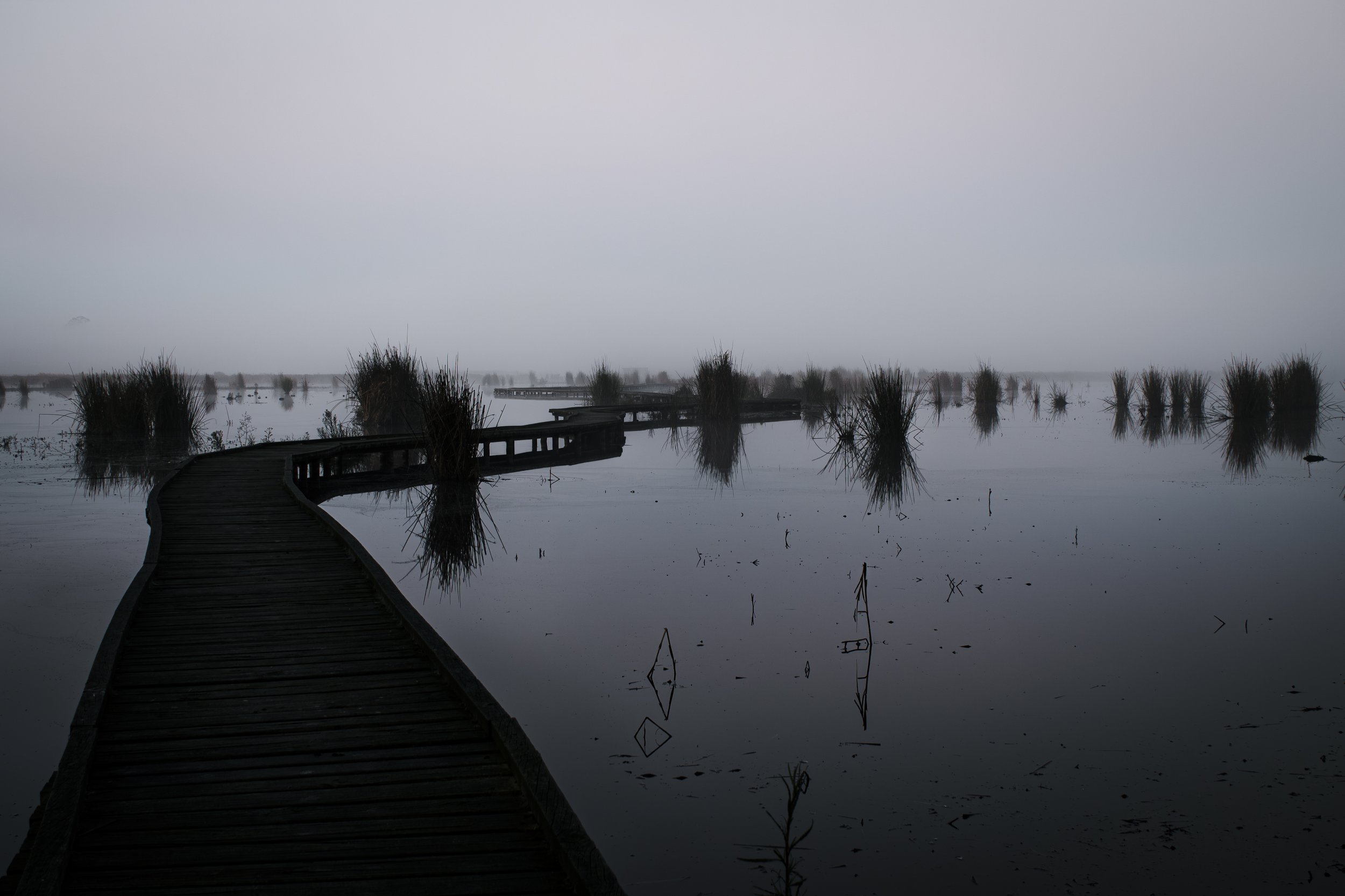 An early winter morning at Macleod Morass, where mist settles across the wetlands and the boardwalk disappears into the stillness beyond.