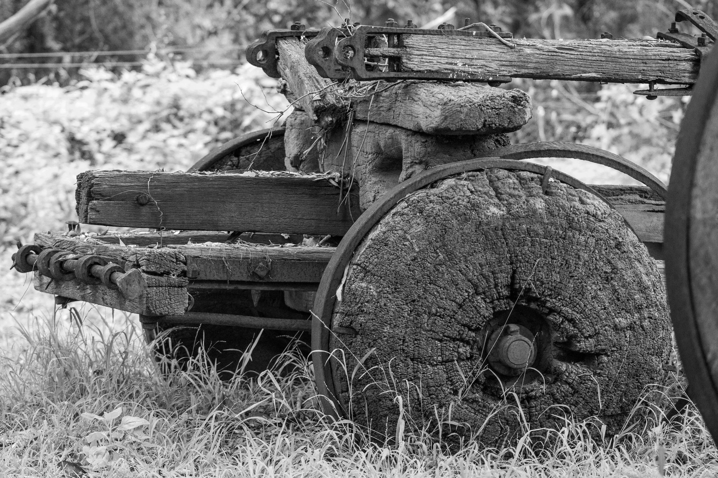 The weathered remains of an old farm implement, slowly being reclaimed by the landscape.