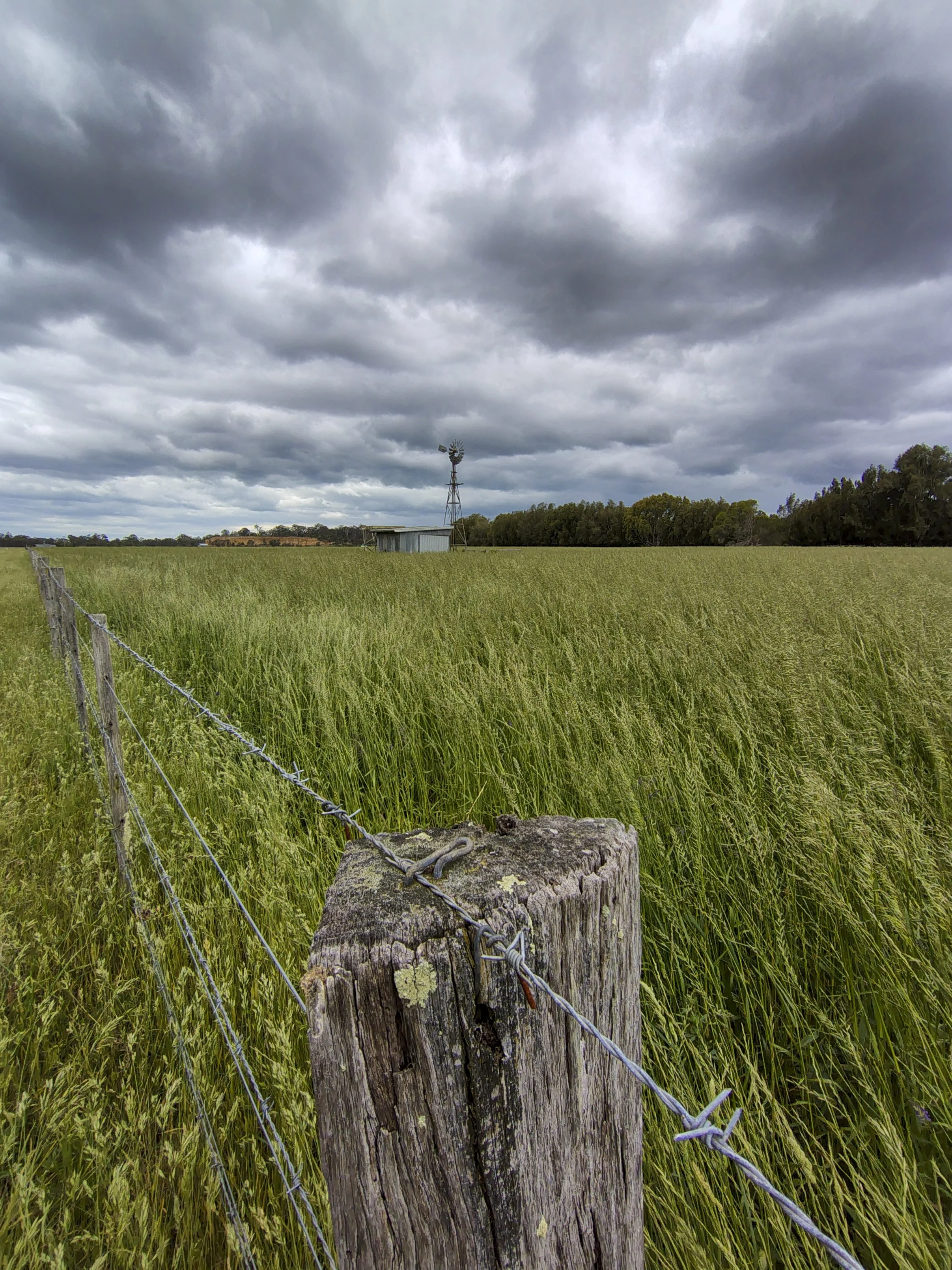 A rural landscape near Eagle Point East Gippsland, Victoria, with an old fence post and barbed wire leading through a green field towards a distant windmill beneath a dramatic sky.