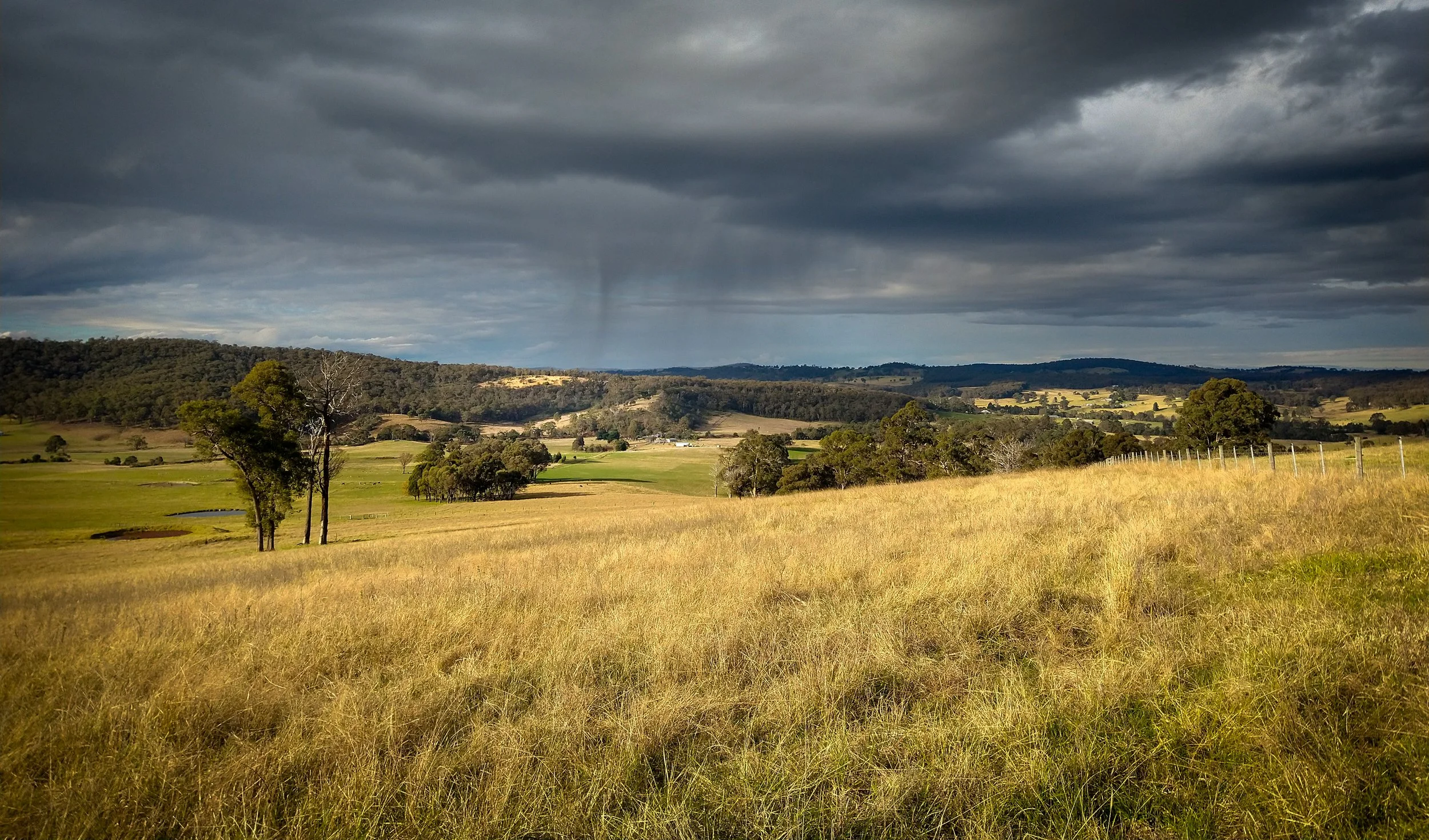 Landscape