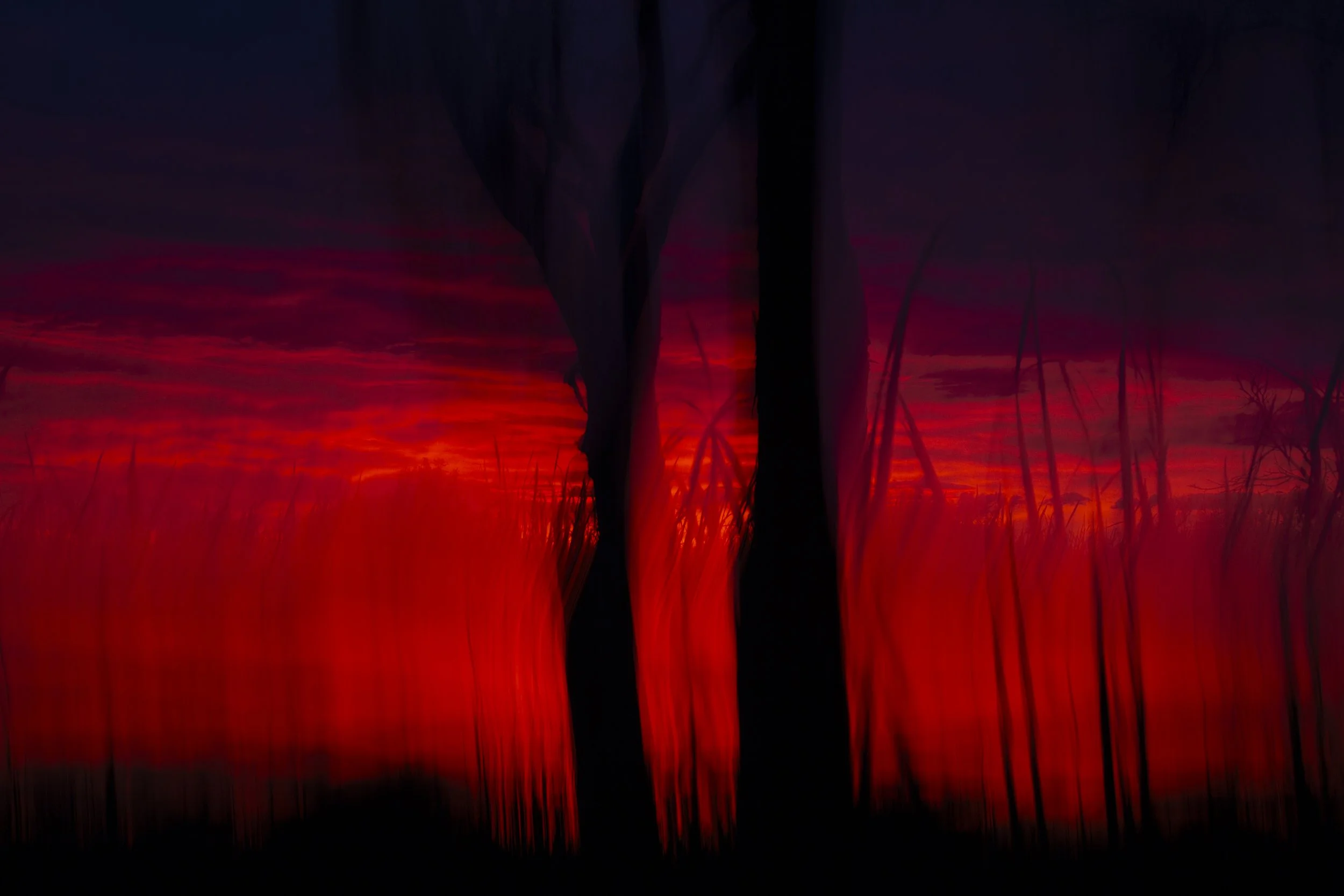 Low light meant that I needed a slower shutter speed to make the exposure. Rather than fight the movement, I decided to use it. I moved the camera deliberately as I made the exposure, turning an ordinary technical limitation into something quite diff