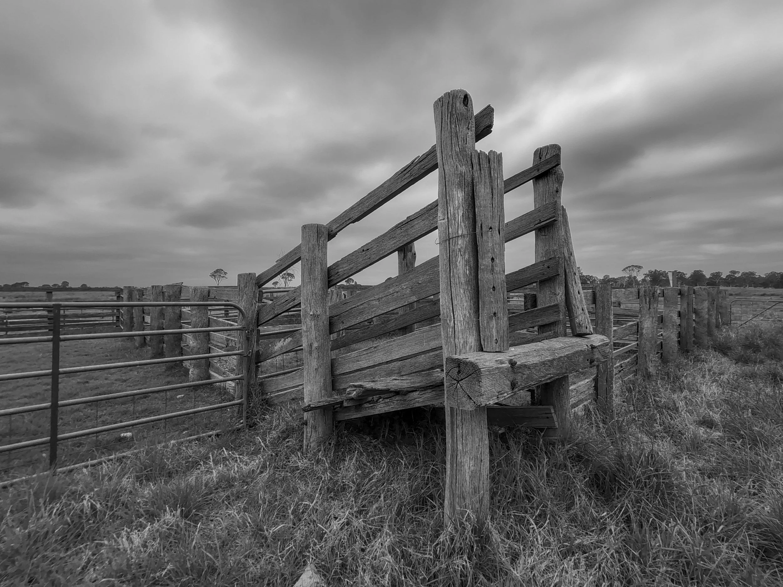 Weathered timber yards on an old Australian farm.