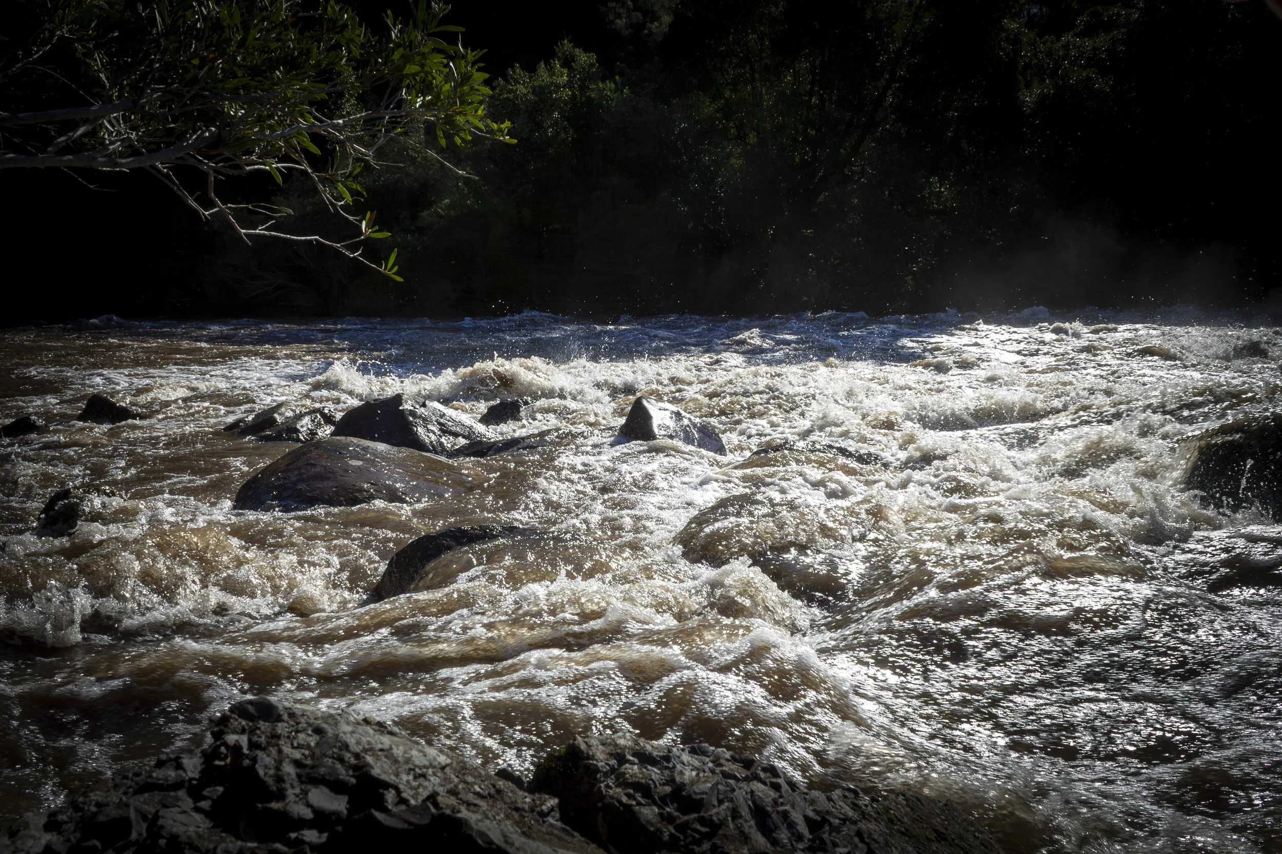 Brown floodwater surging over rocks on the Mitchell River near the Glenaladale Weir
