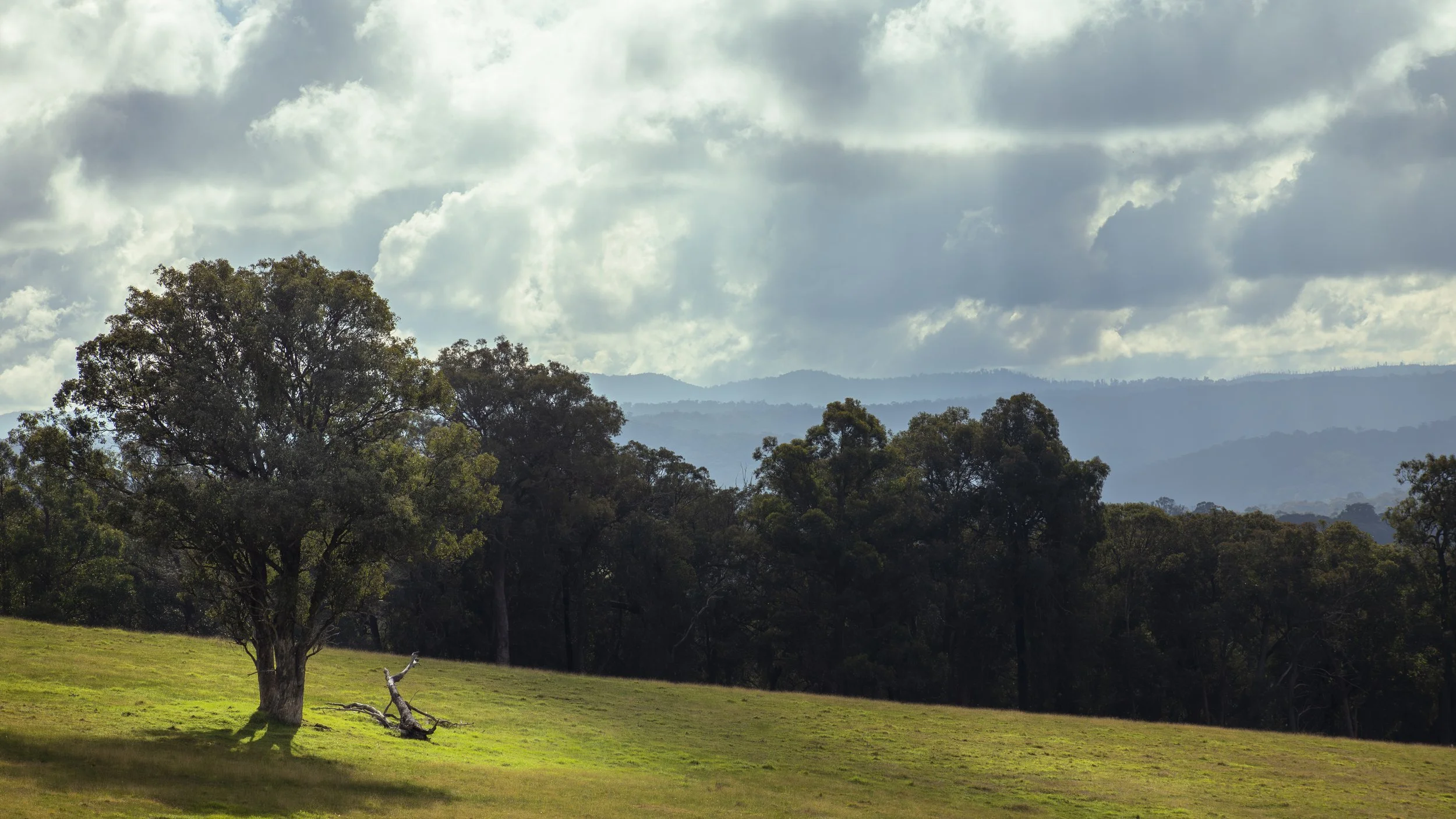 Late afternoon light falls across a quiet rural hillside, with the ranges fading into the distance.