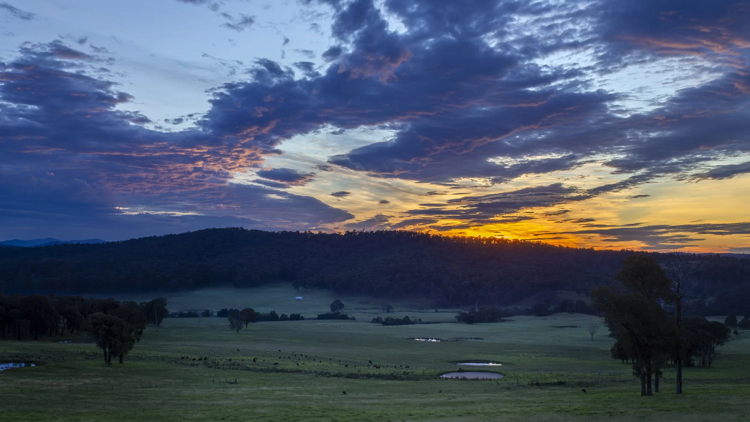 Sunset over the East Gippsland landscape viewed from Mount Taylor Hall, with forested hills, green farmland, scattered trees and low mist glowing in the morning light.