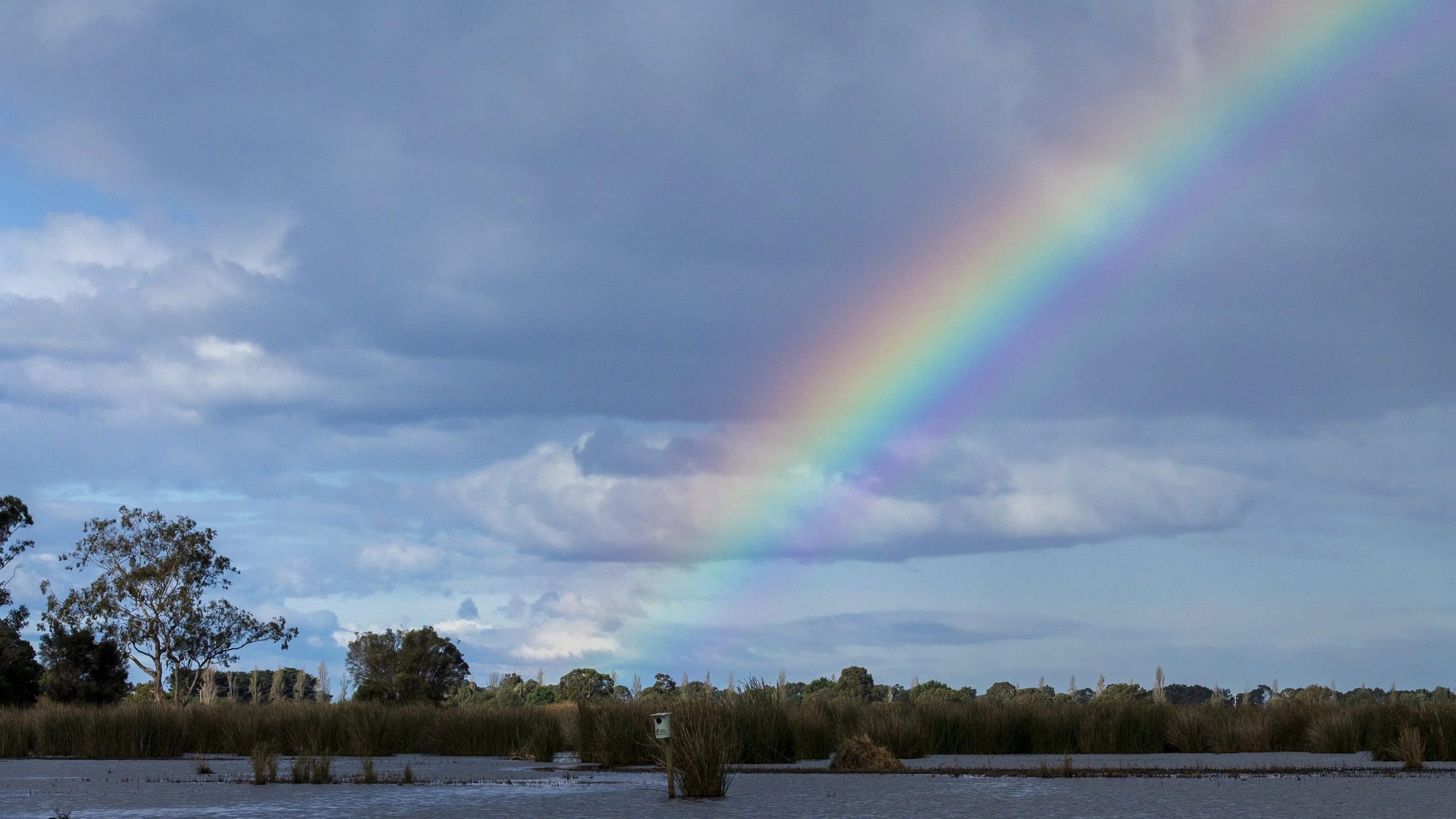 I was on my way out when the rainbow appeared. I stopped, pointed the camera at it and took the shot.