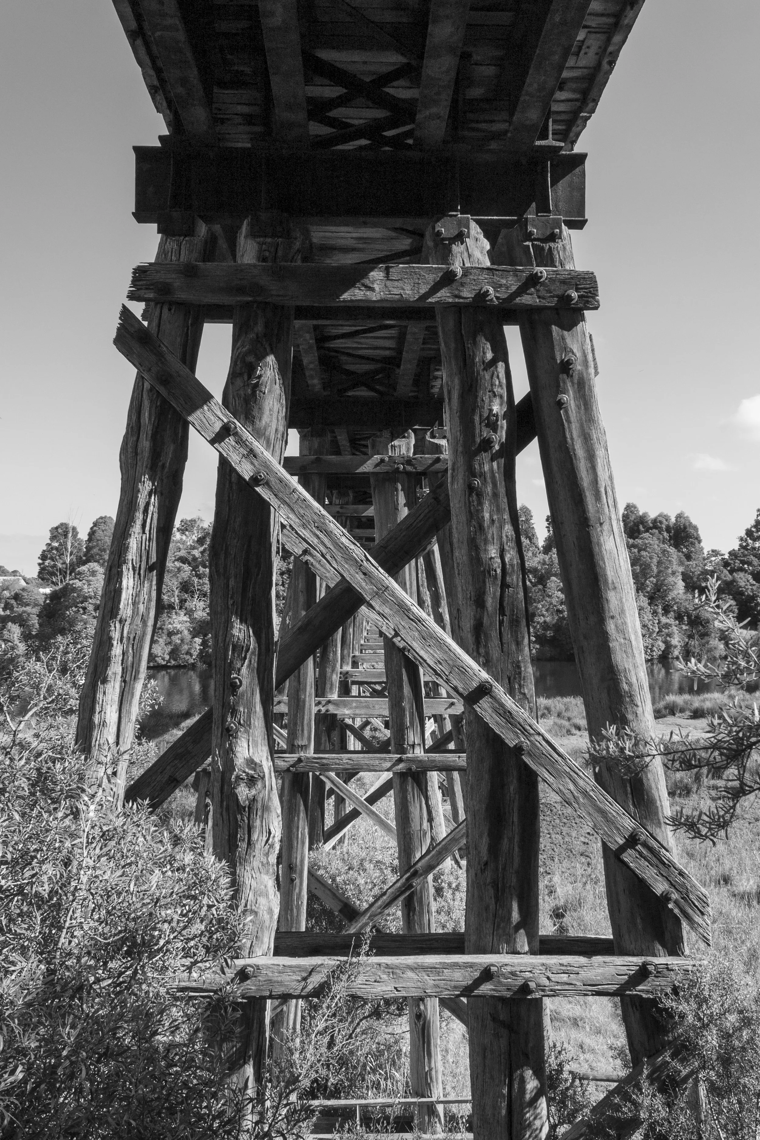 A Bridge I’d Crossed Hundreds of Times