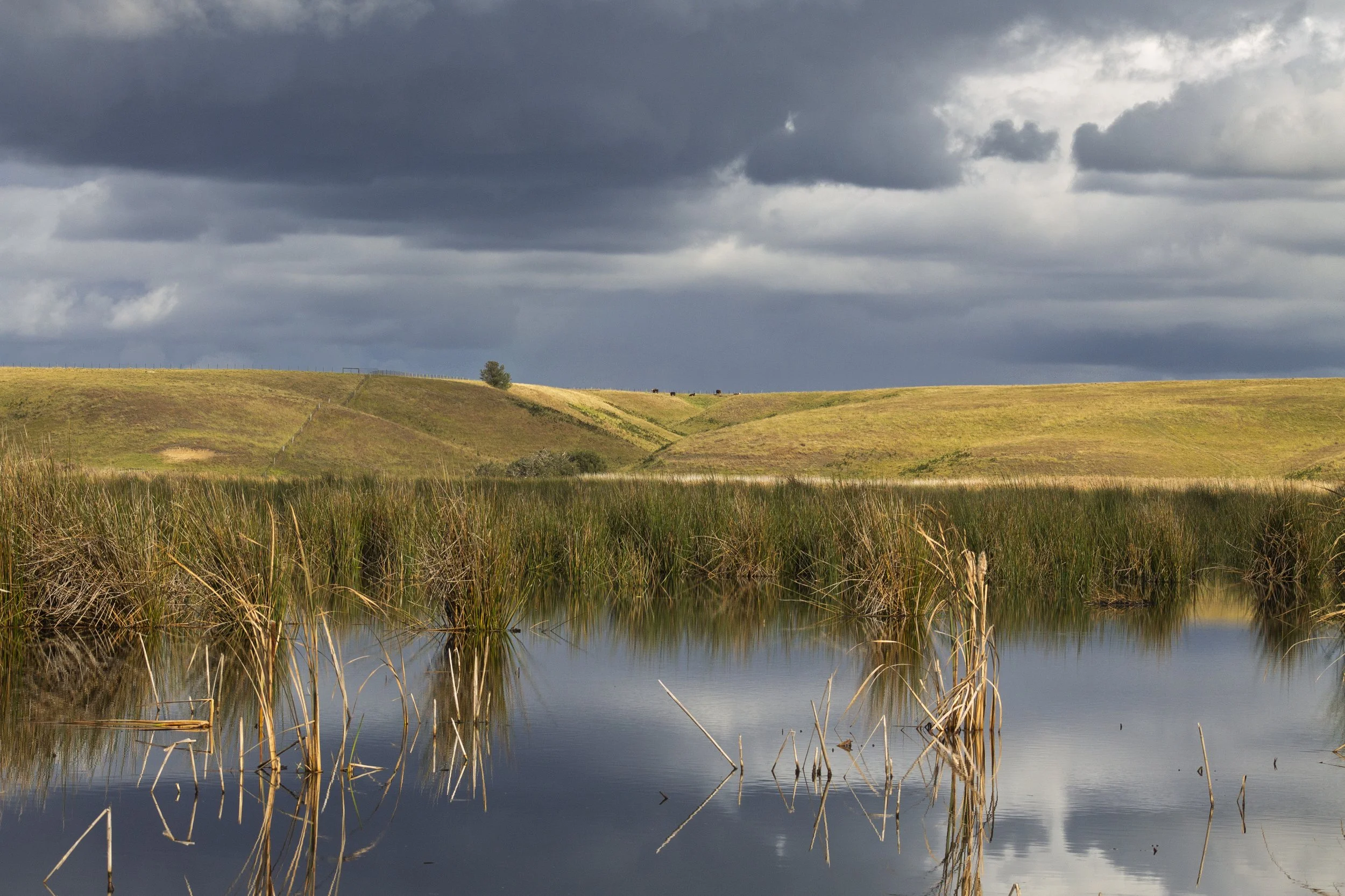 Winter light breaks through the clouds over Macleod Morass, illuminating the rolling farmland beyond the wetlands while the reeds and still water fill the foreground.