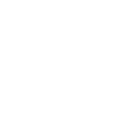 Battery icon with a lightning bolt inside, indicating charging or power