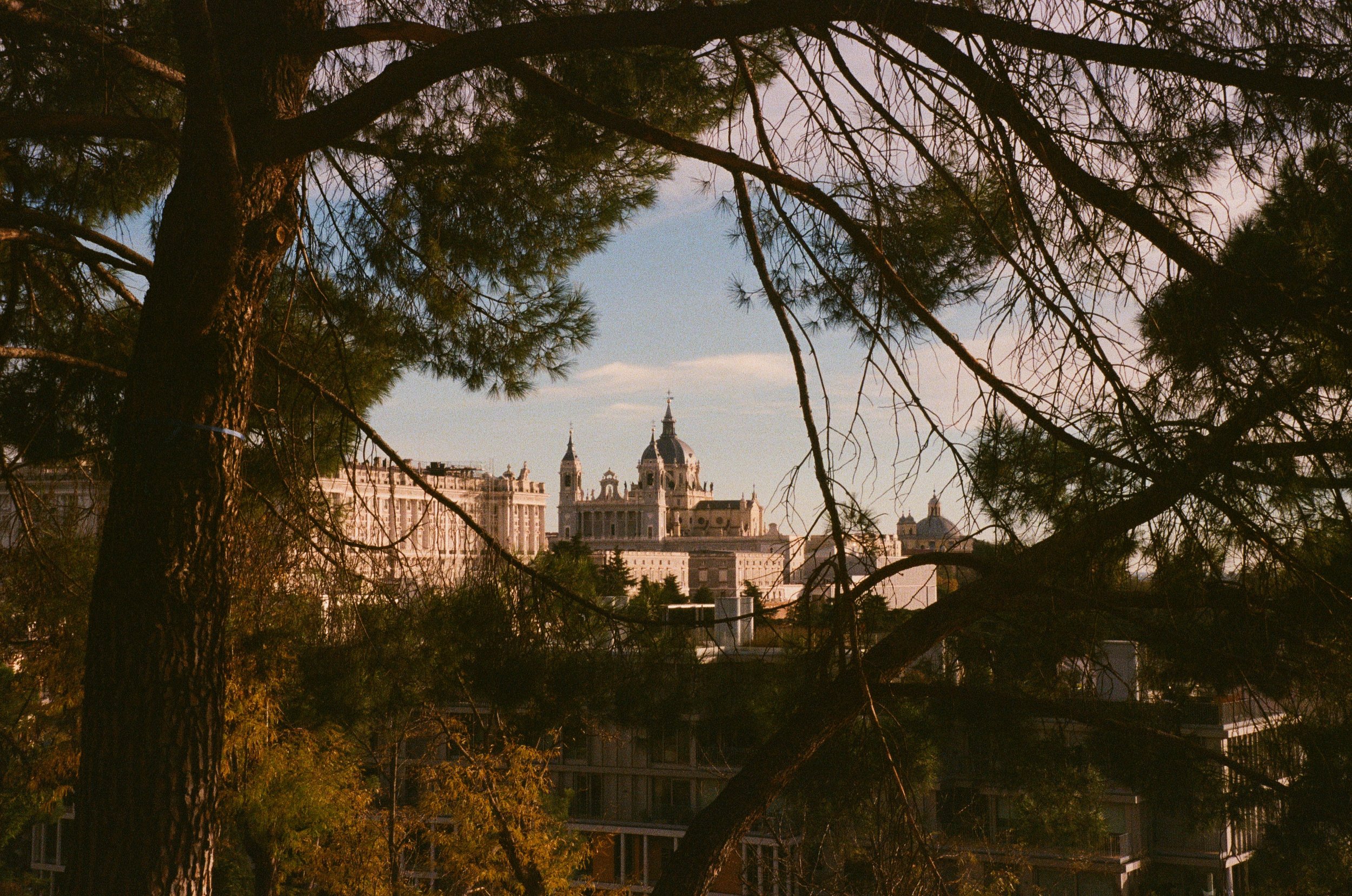 2025_11_Fuji400-016.jpg
