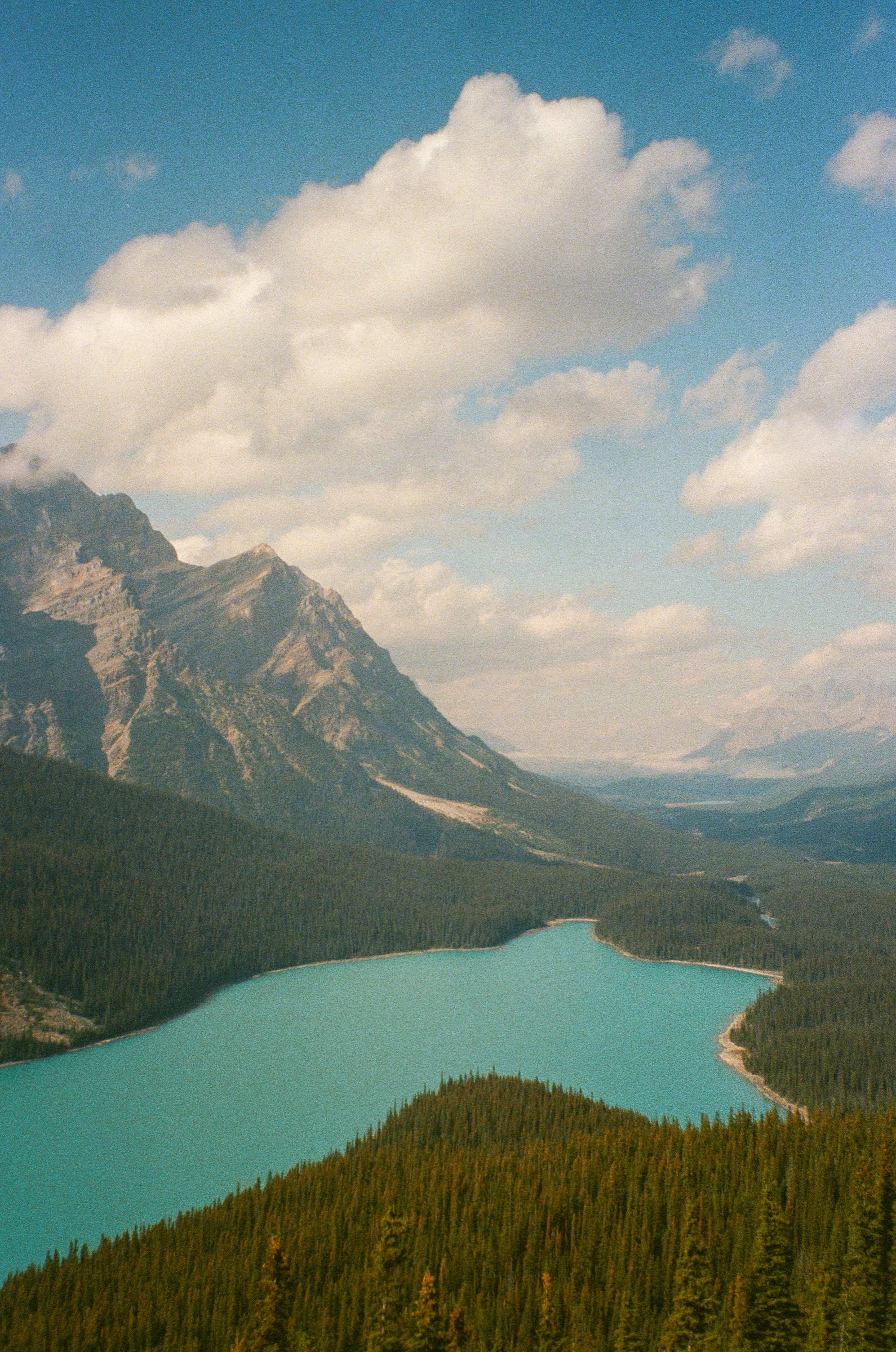 Film_018.jpg