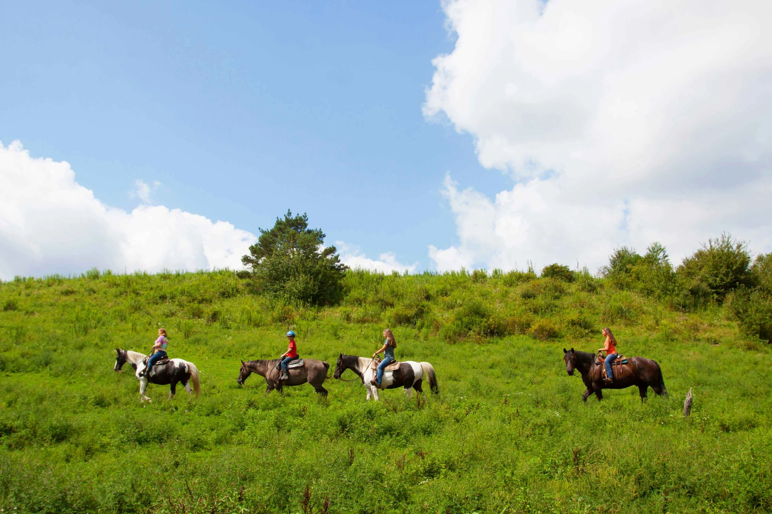 Horseback Riding Lower.jpg