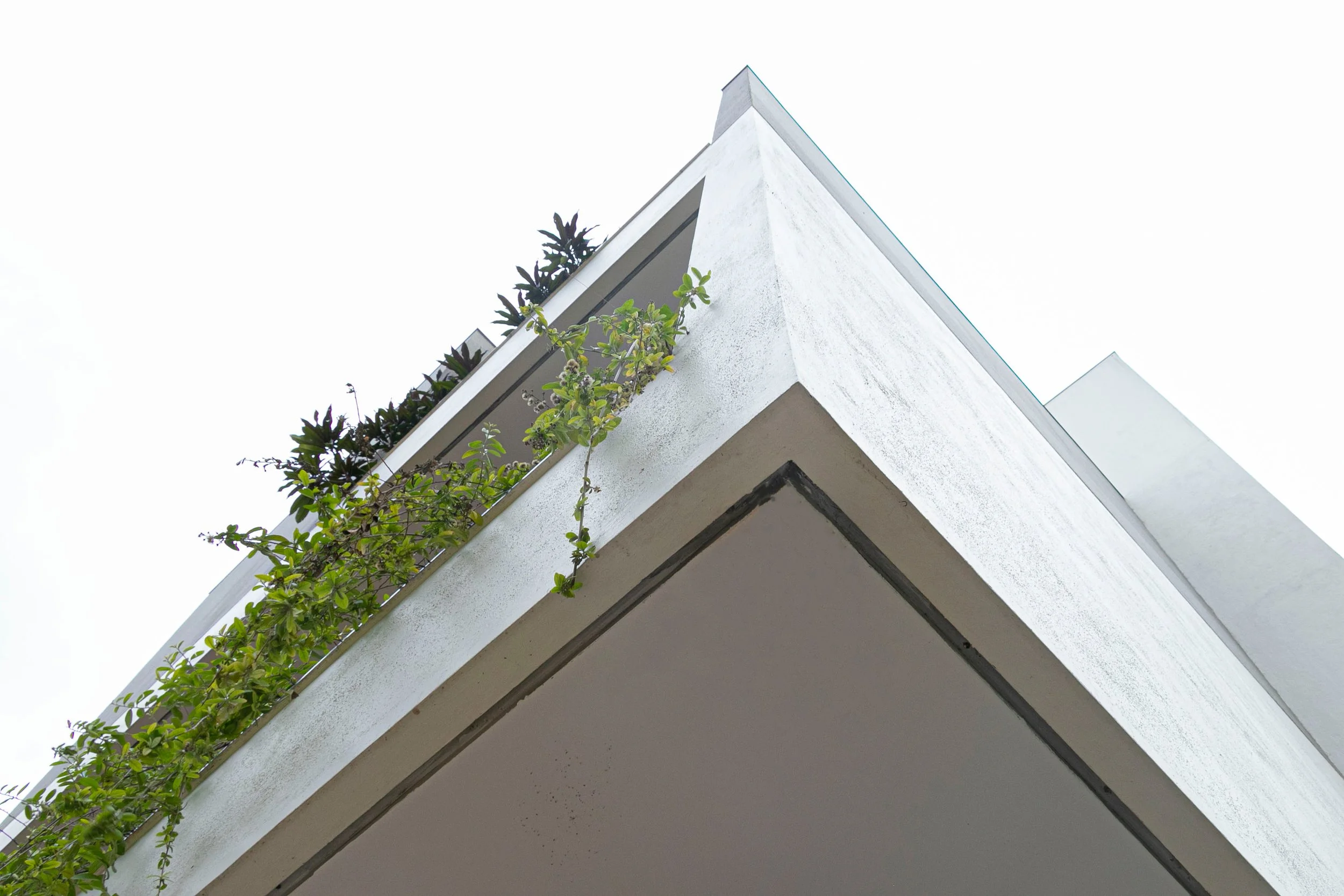 Swamy Residence