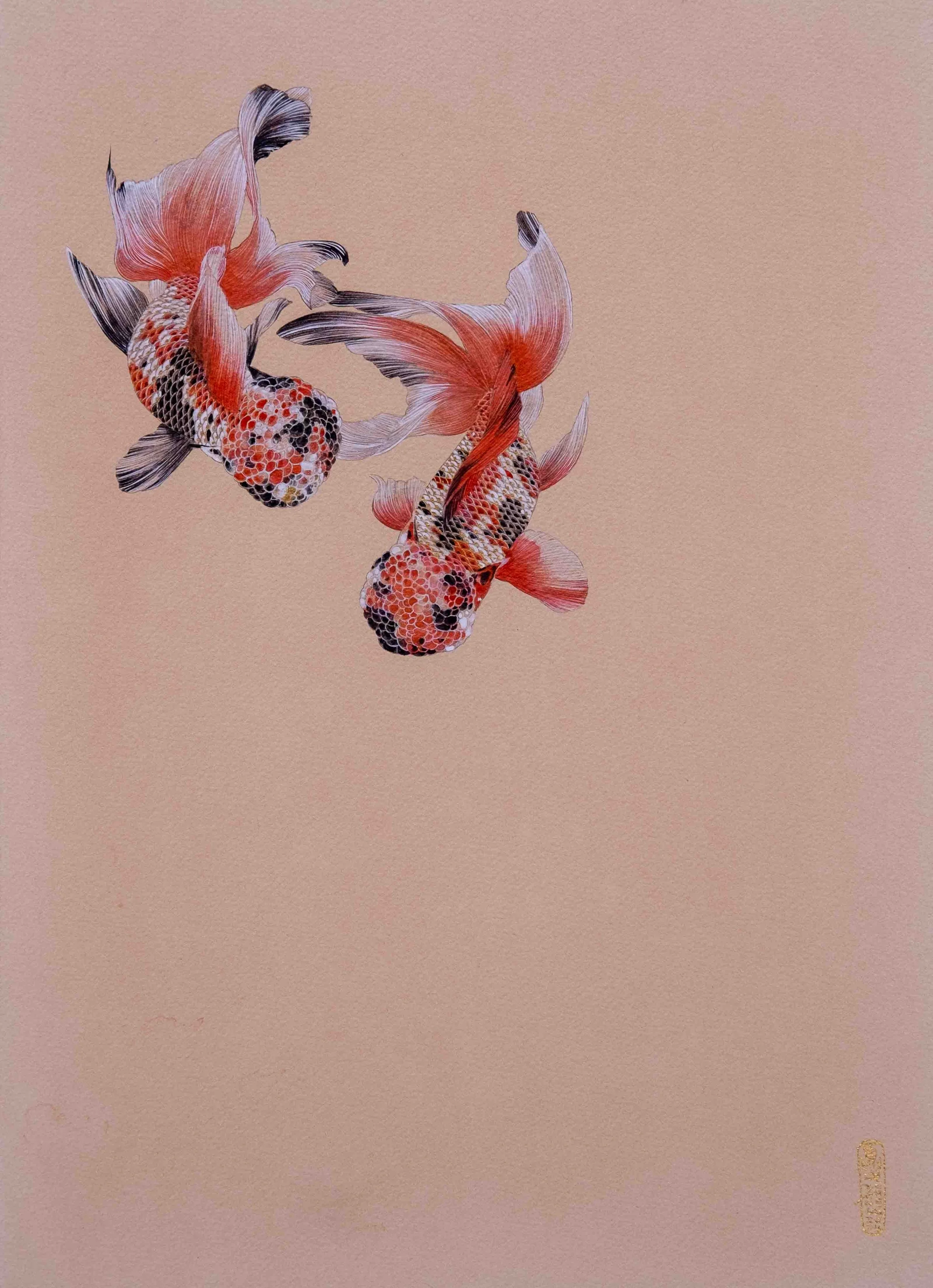 Double Happiness — goldfish painting by Cristjen Lai, created using traditional Gongbi and Nihonga techniques.