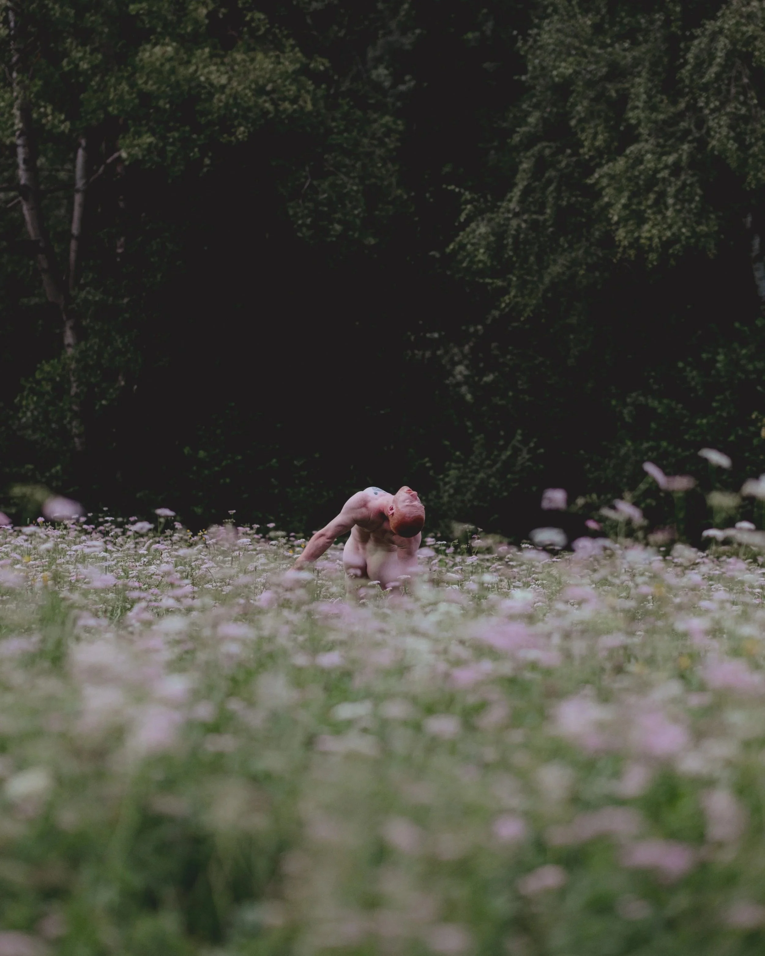 A naked man in a yoga pose on a grassy field surrounded by flowers, with a dense forest in the background.