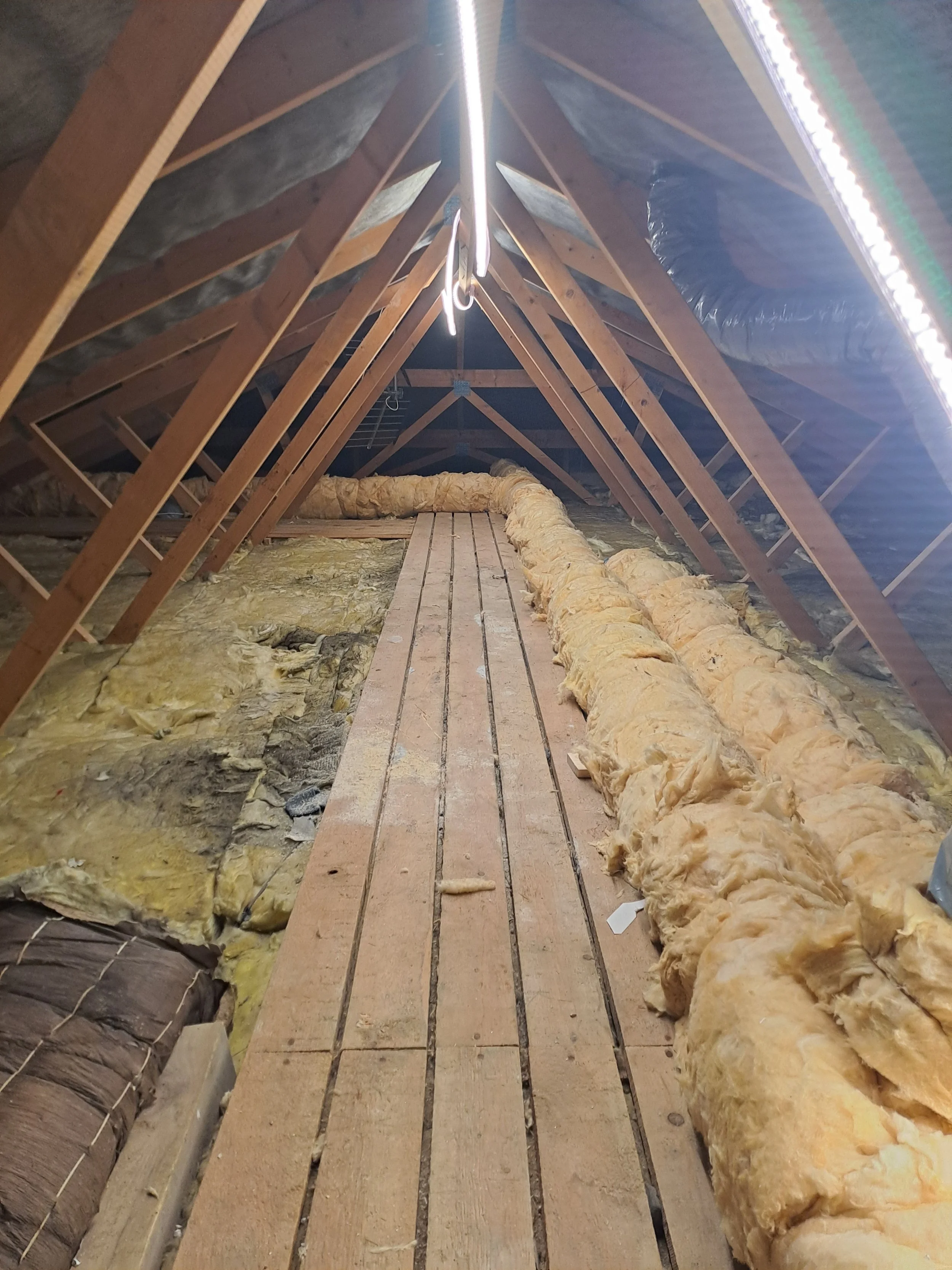 Lydende loft med træbjælker, isoleringsmateriale og ventilation i et tagrum.
