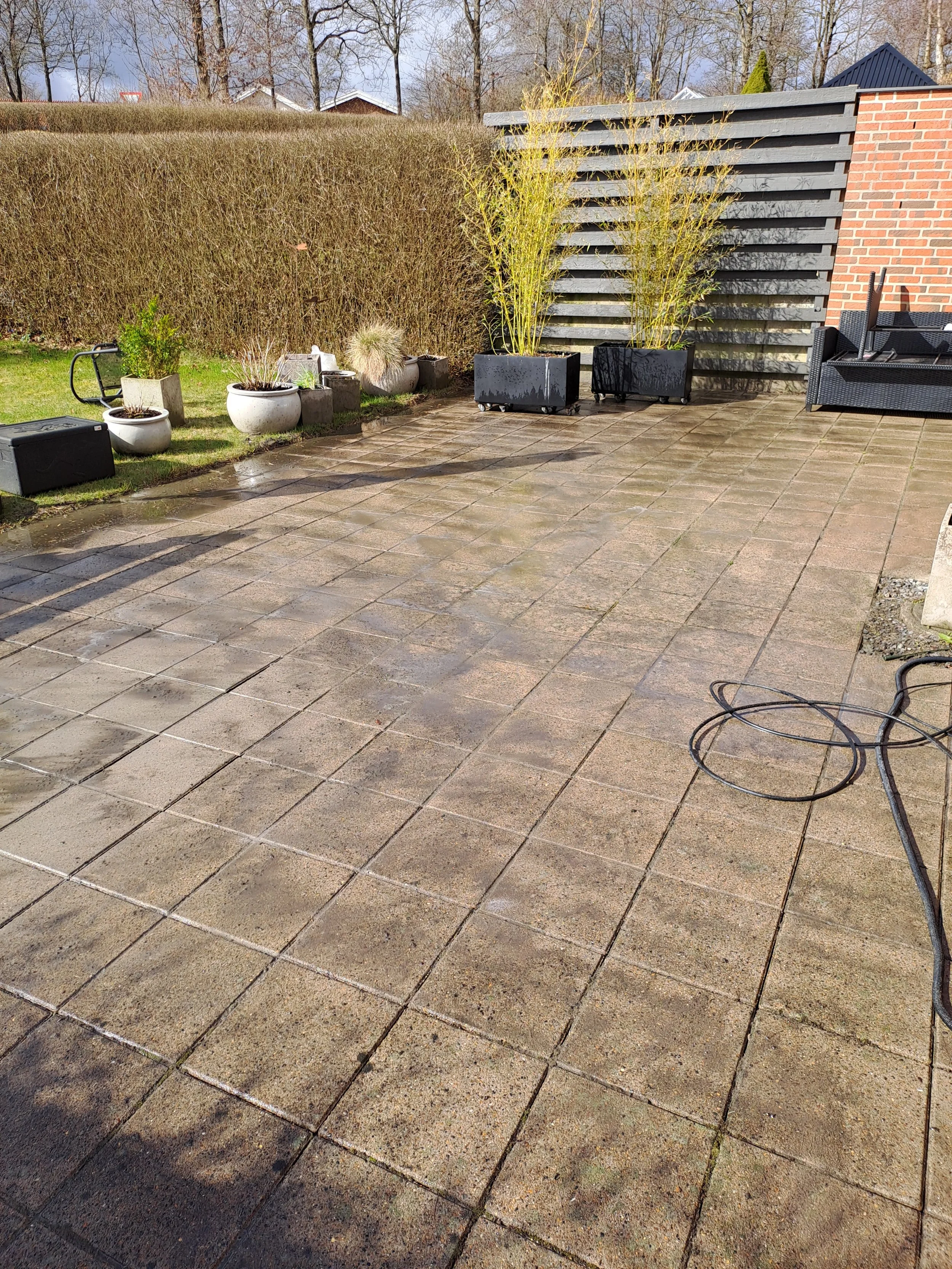 Et frit område med betonfliser, flere udendørs plantekrukker med planter, en hængekøje, en lav væg af mursten, en træskillevæg og nogle træer i baggrunden. Sollys, der skinner på terrassen.