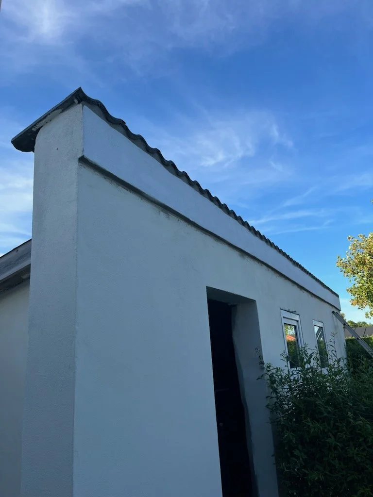 Hvid bygning med en tagrende under en klar blå himmel, vindue og en dør, omgivet af grønne planter.
