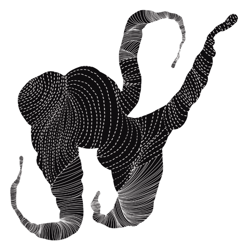 image illustration.png