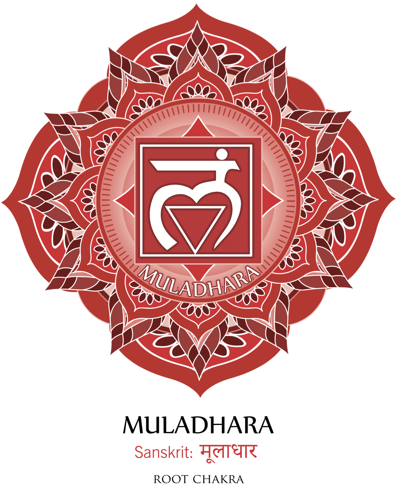 Saknes čakra (Muladhara) – Fiziskās vitalitātes un dzīvības spēka centrs)