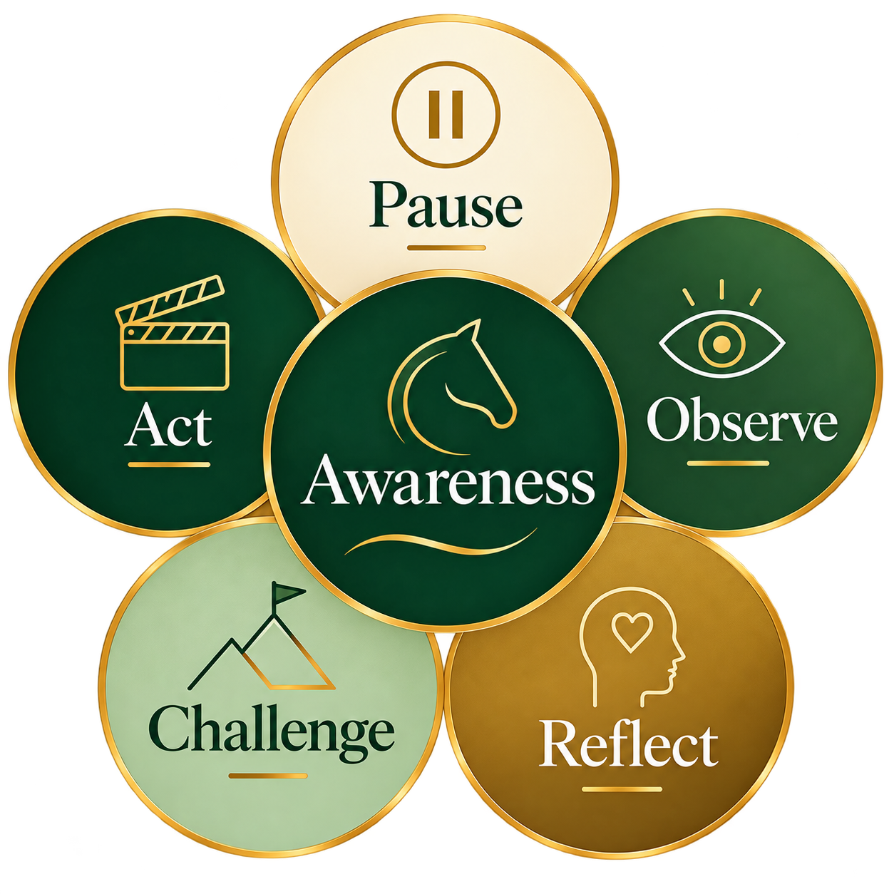 A diagram with a central circle labeled 'Awareness' surrounded by five other circles labeled 'Pause,' 'Observe,' 'Reflect,' 'Challenge,' and 'Act,' each with icons representing their concepts.