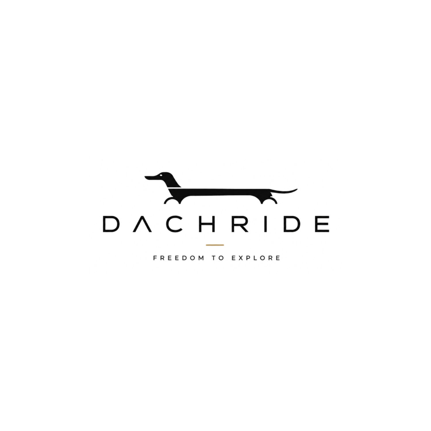 DachRide