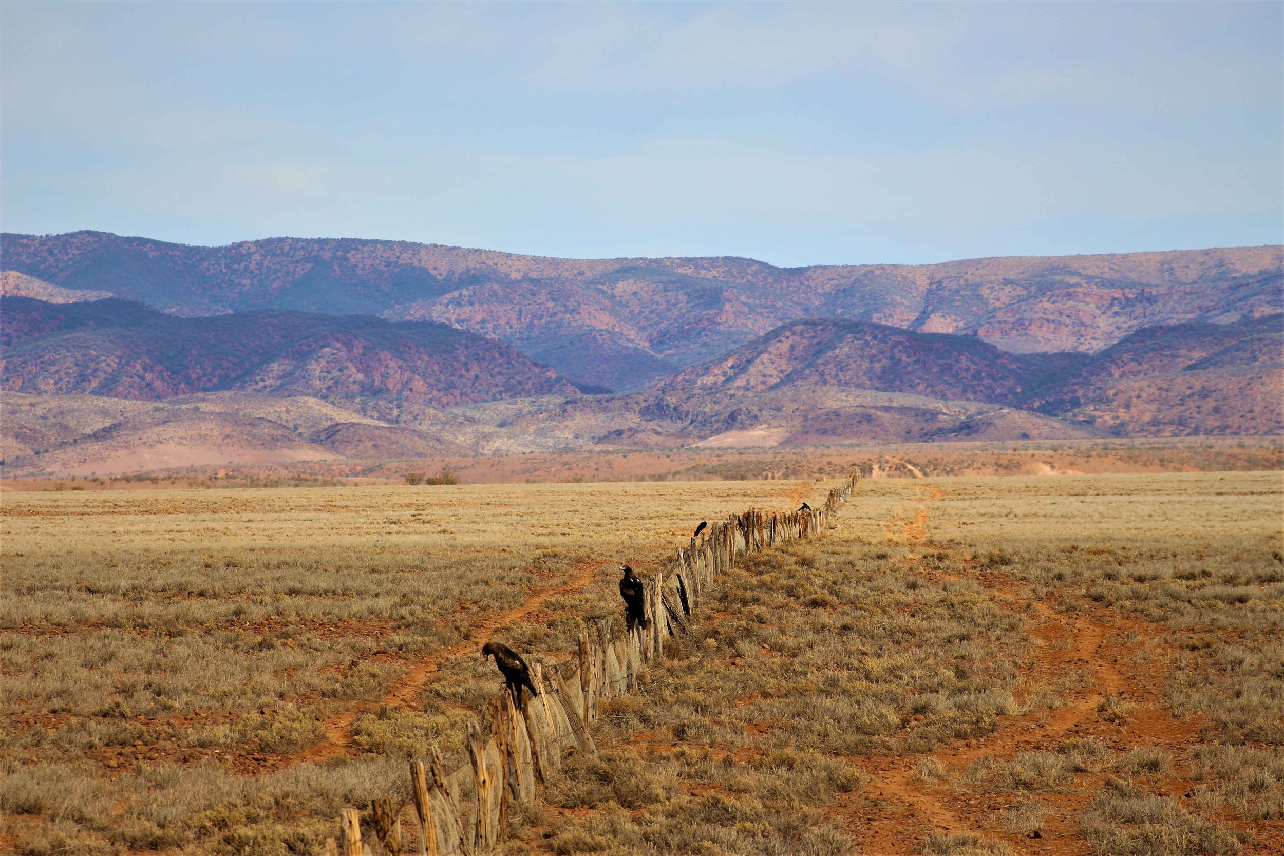Australian outback