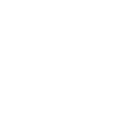 Stylized chameleon figure with the text 'Chameleon 42' incorporated into its body.