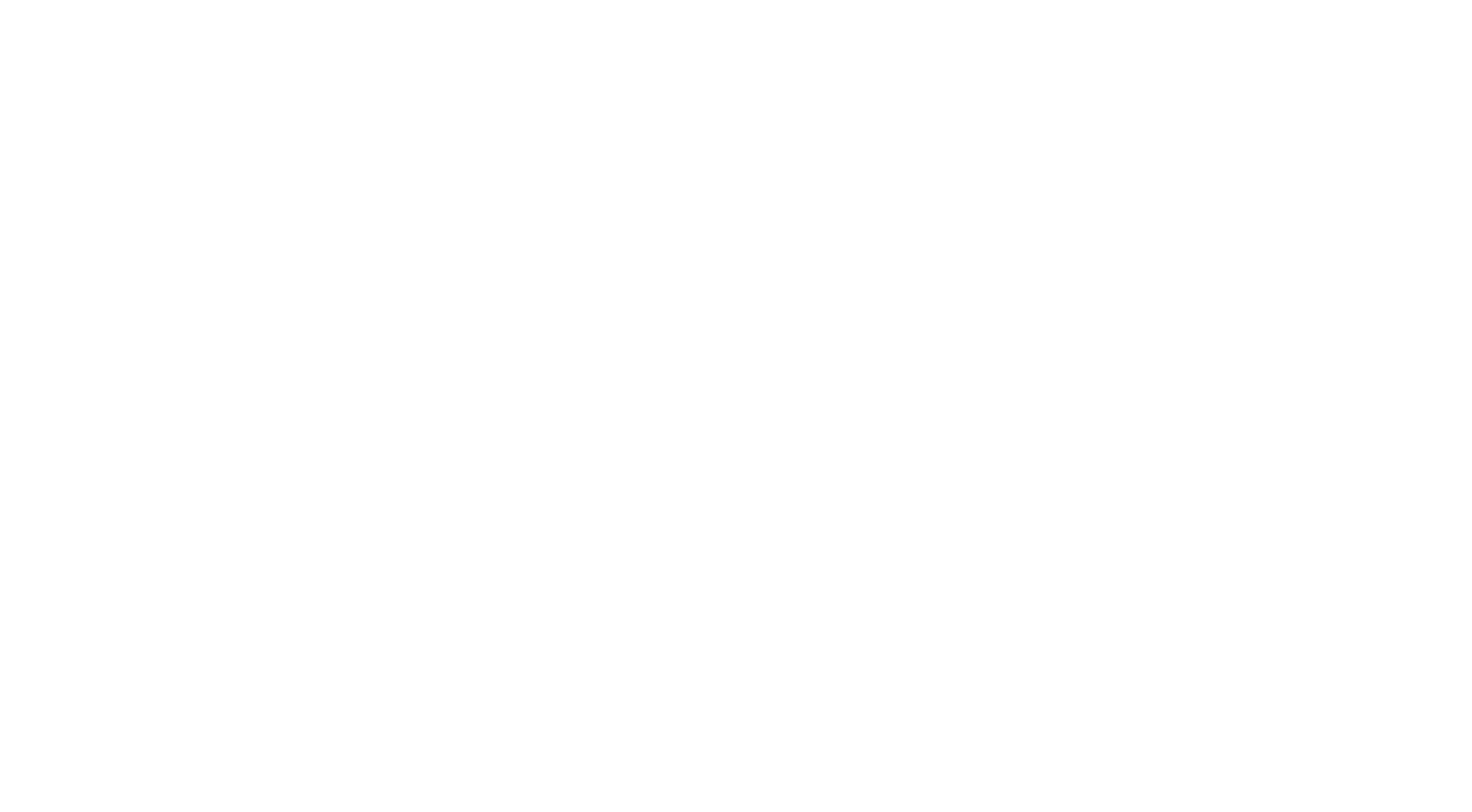 Logo for High Paw Dog Daycare featuring a geometric dog face design and the business name in white text on a black background.