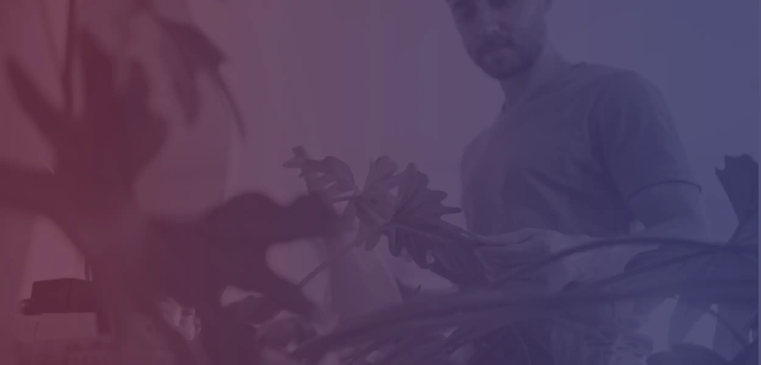 Plants.webp