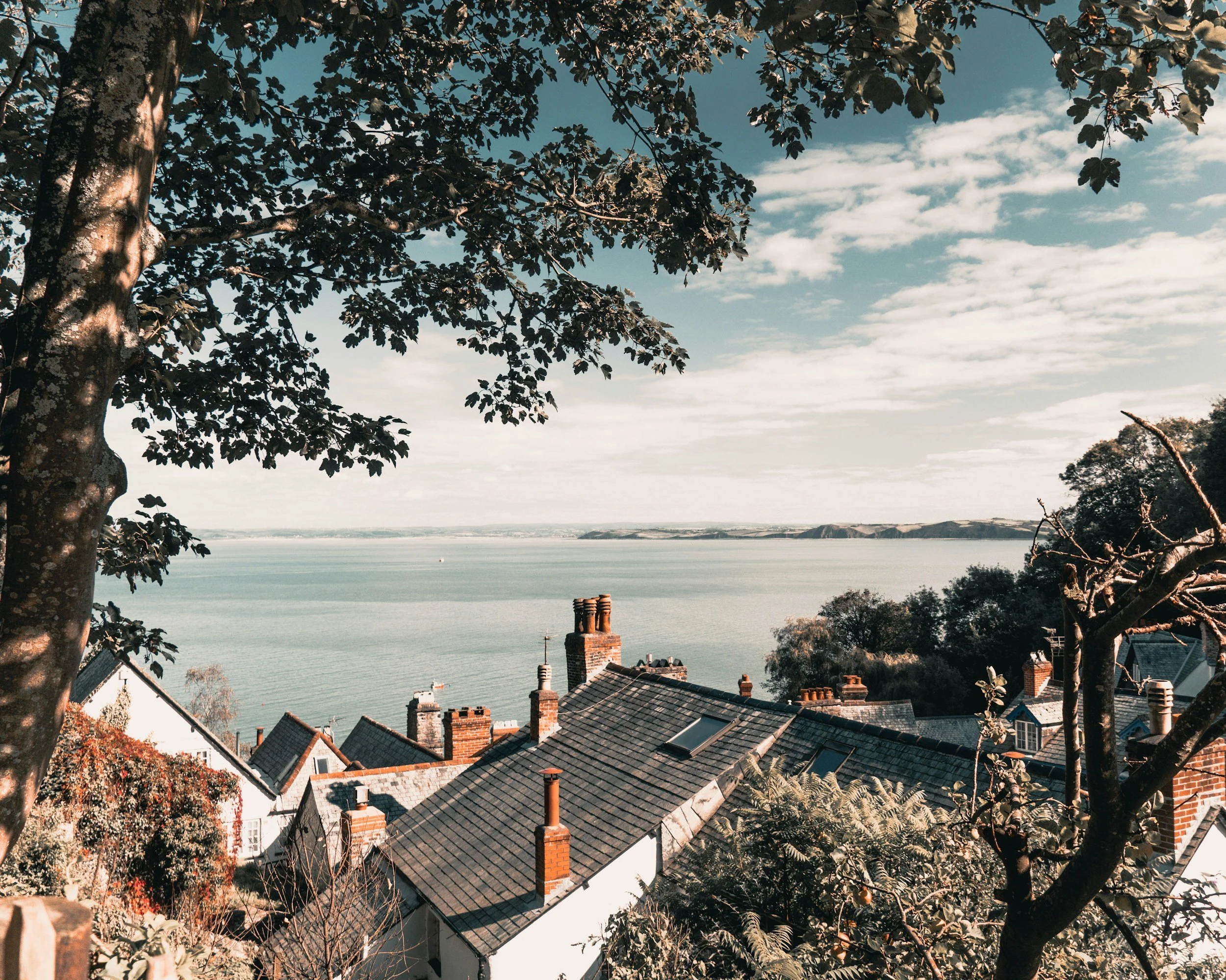 View of rooftops of houses surrounded by trees overlooking a body of water under a cloudy sky.