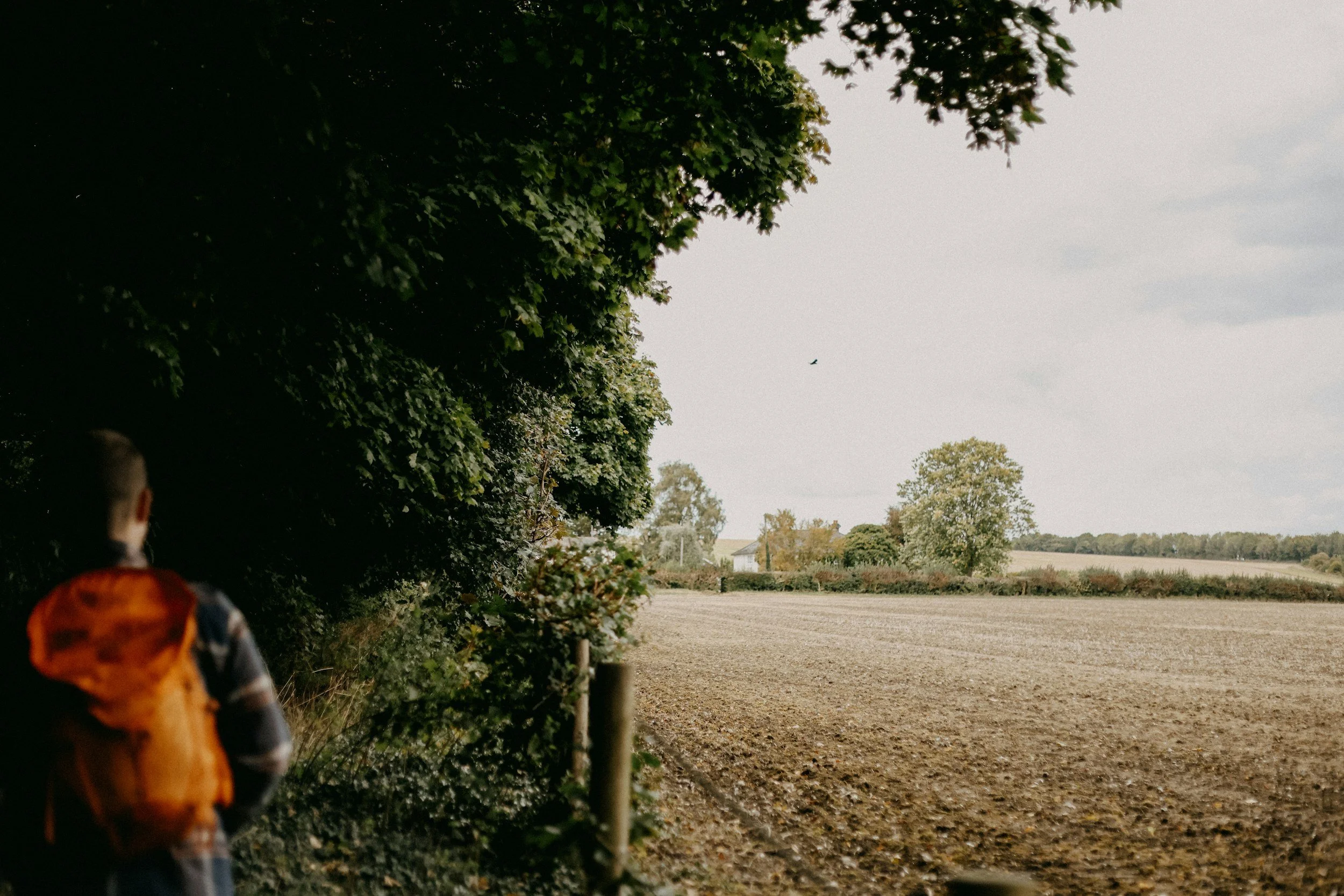 Person with an orange backpack standing near dense green trees, looking out towards a field and a distant landscape with trees and a cloudy sky.