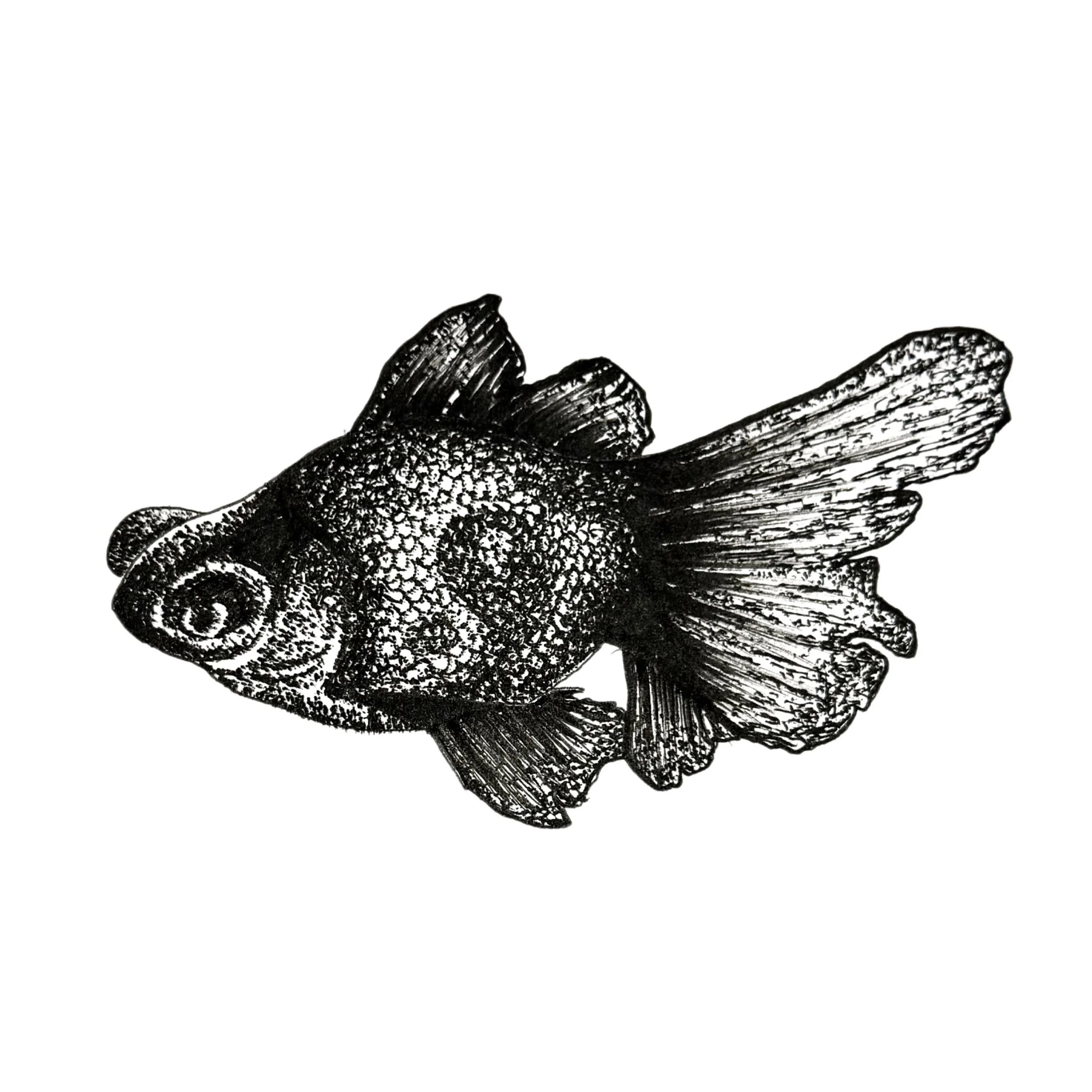 YiN YANG FiSH