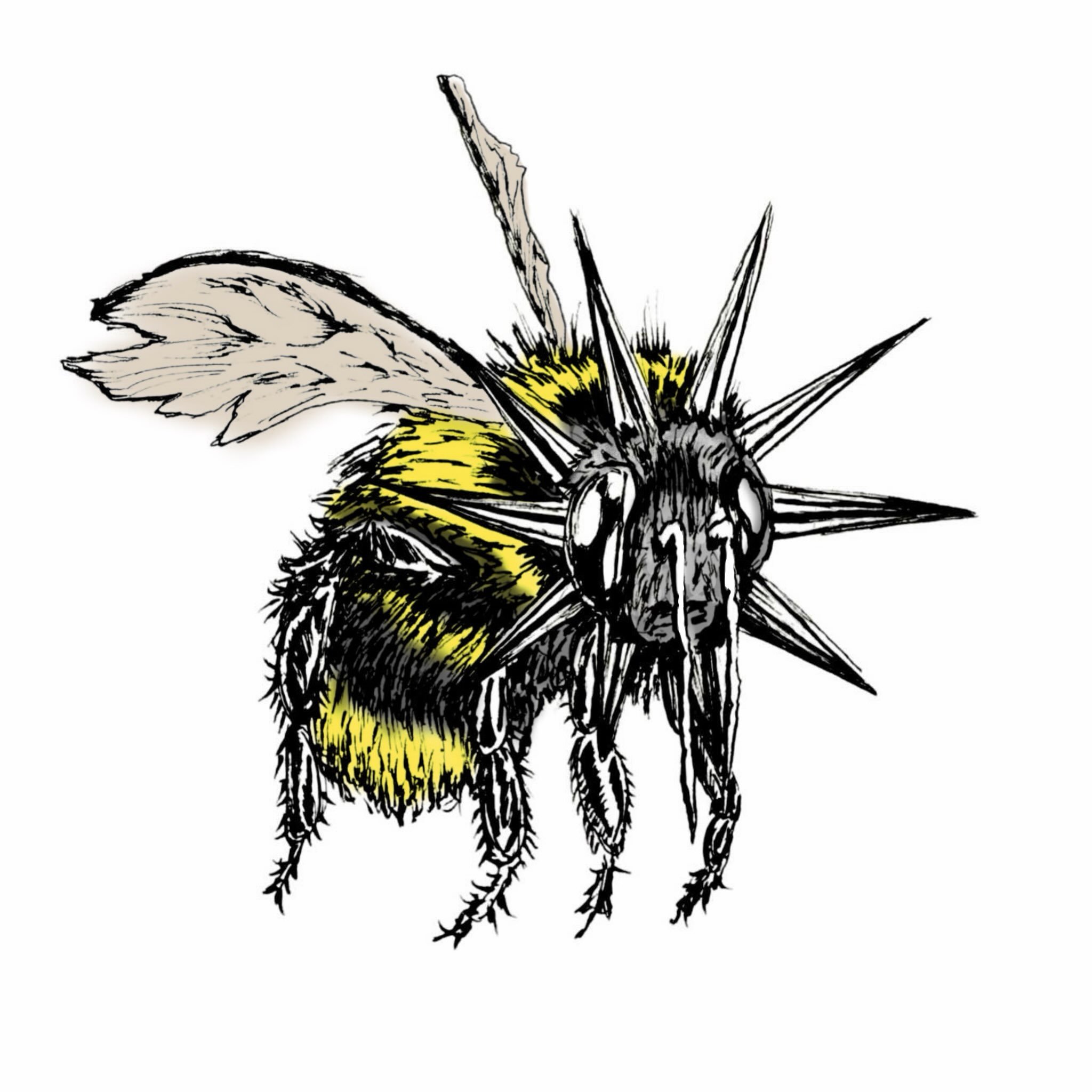 The bee with the sad eyes