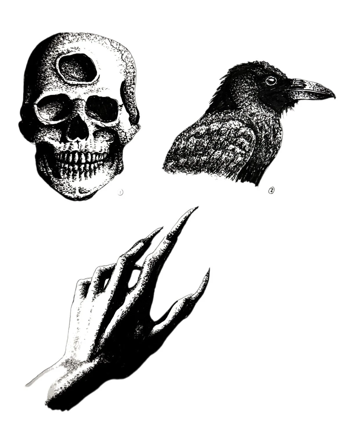 Black and white illustration featuring a human skull, a crow, and a skeletal hand with long, sharp fingers.