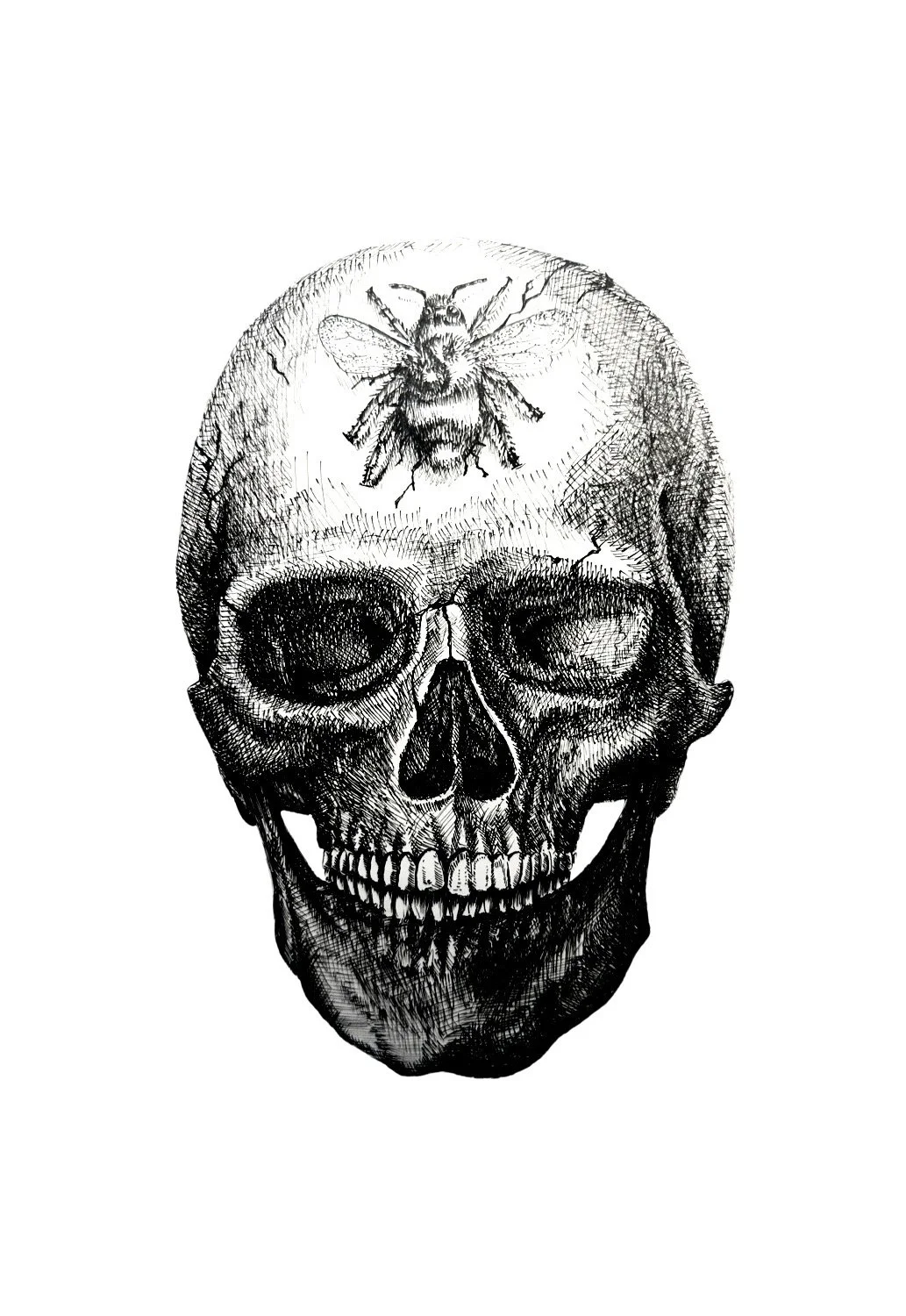 Black and white illustration of a human skull with a bee on its forehead.