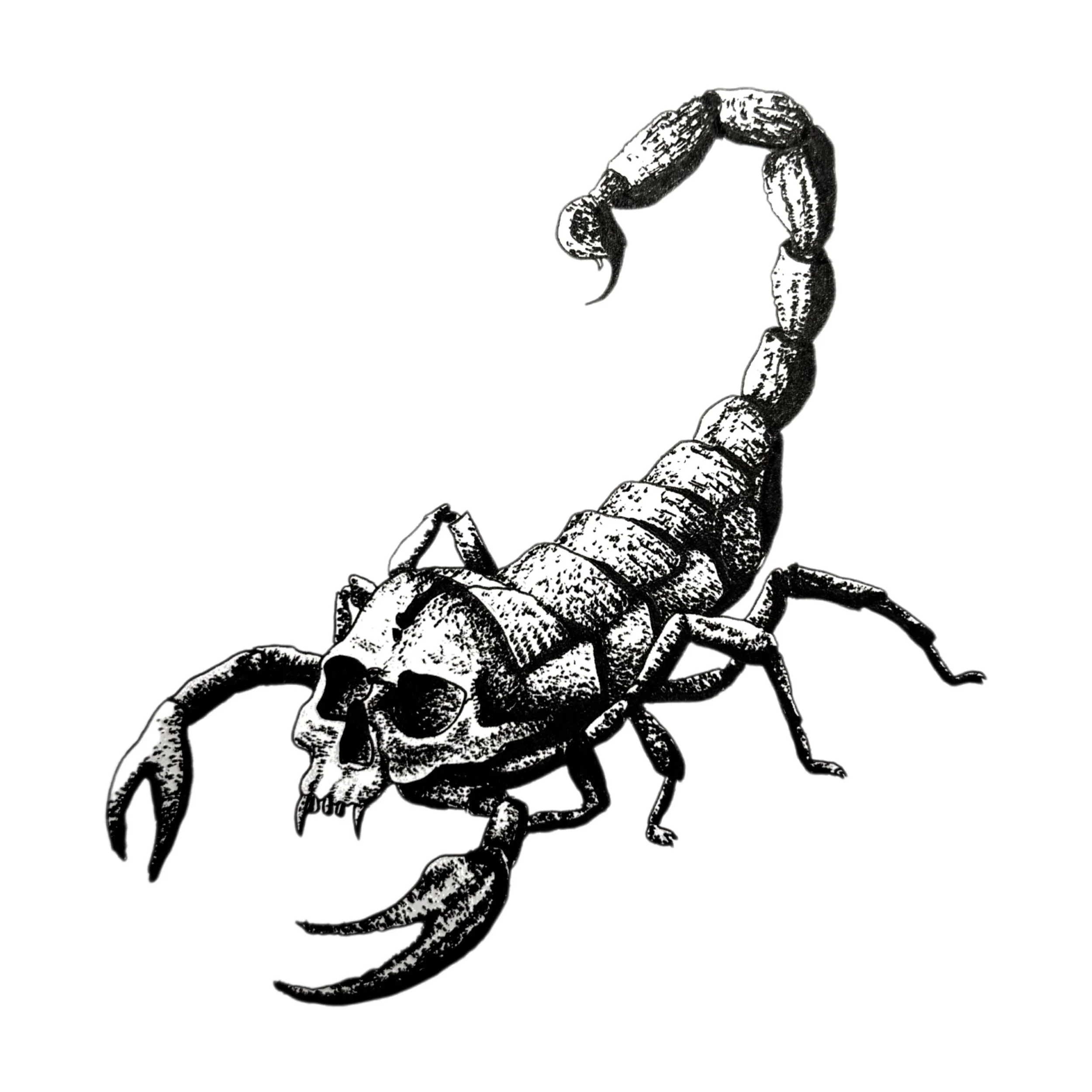 Black and white illustration of a cockroach walking.