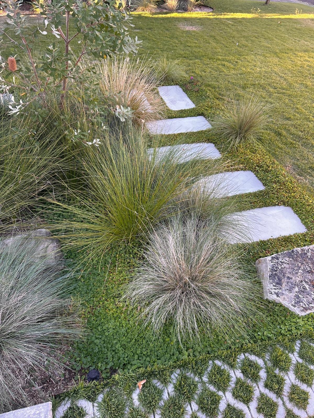 Garden Maintenance