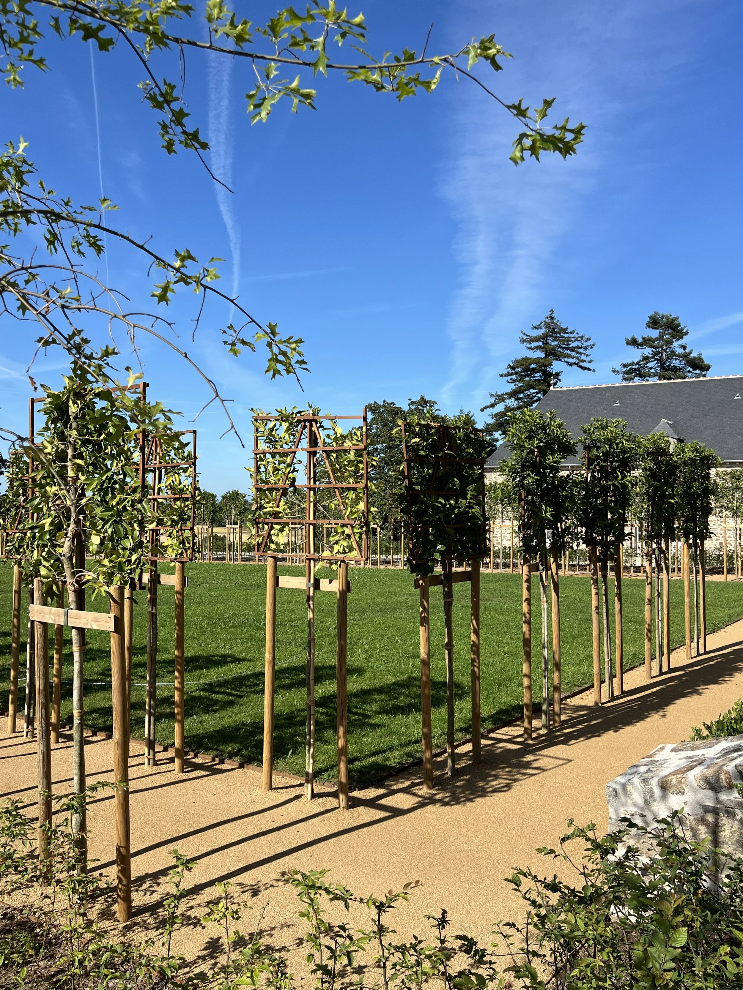 Image du parterre nord