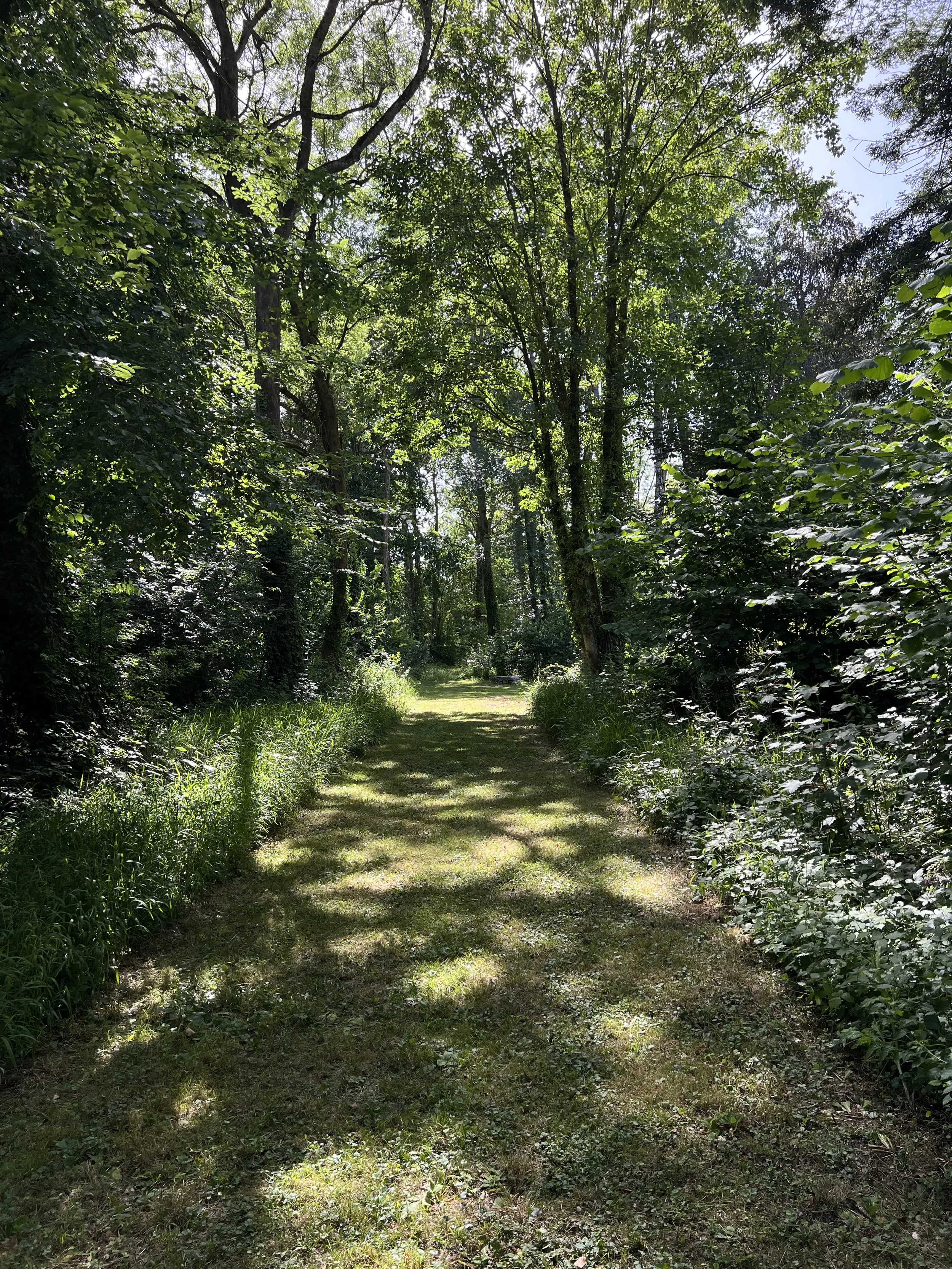 Image du bois de Bonaban