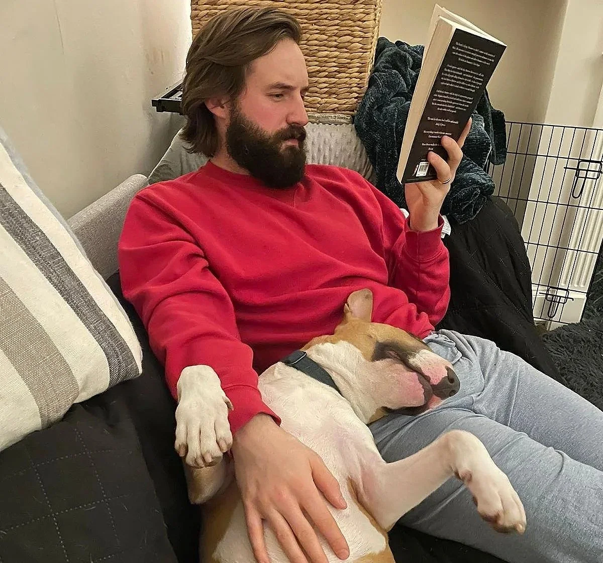 A man with a beard and long hair, wearing a red sweatshirt, sits on a couch reading a book with a dog lying across his lap.