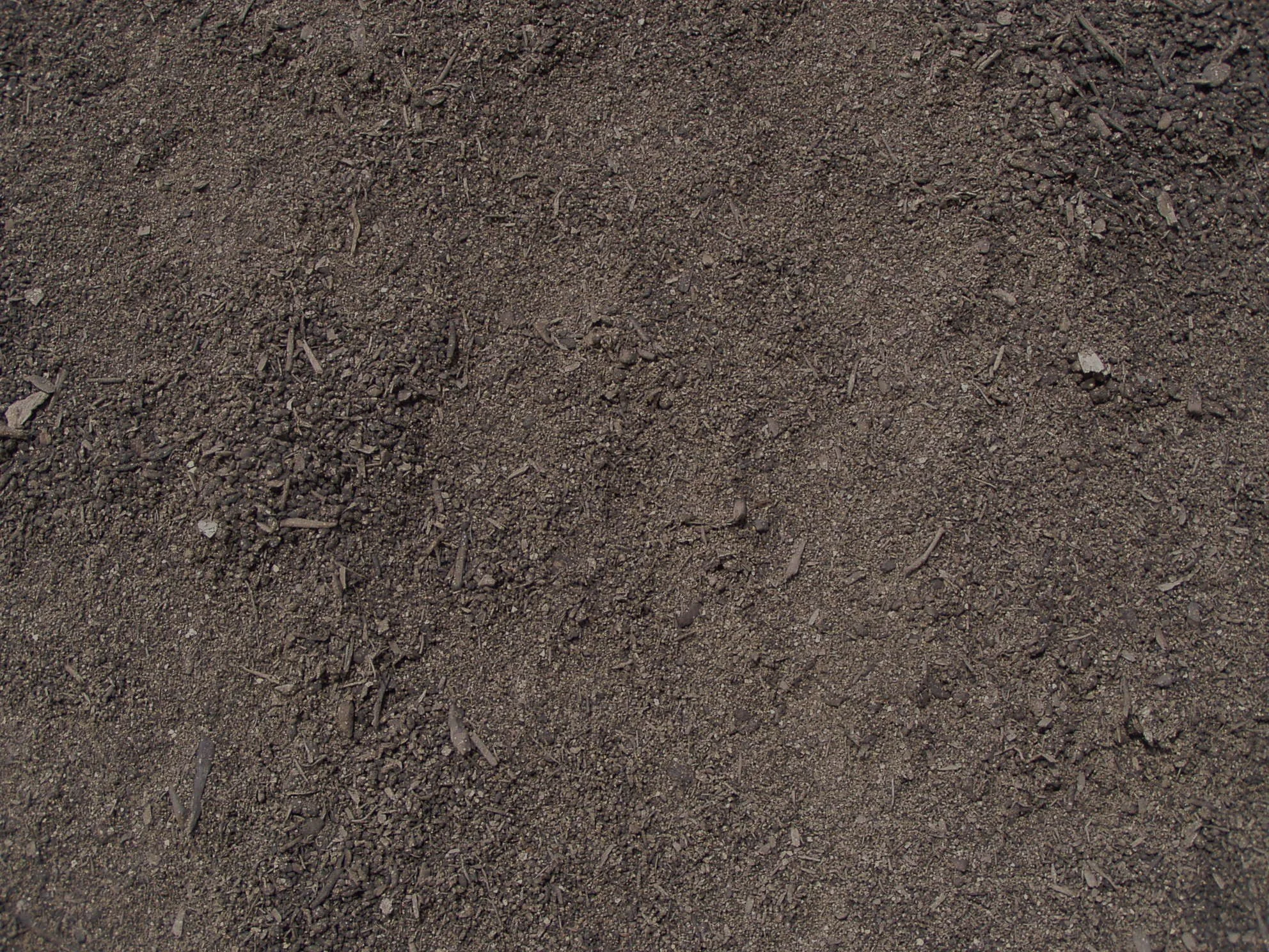 Importance of Soil to Plants