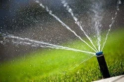 Use Water Wisely