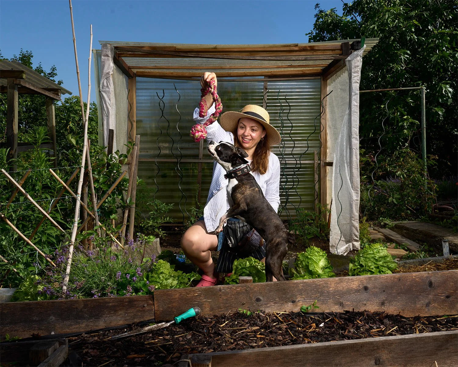 Fotografisches Portrait einer lachenden jungen Frau mit Sonnenhut die mit ihrem Hund in einem Garten spielt, umgeben von Gemüse und Blumen, bei sonnigem Wetter.