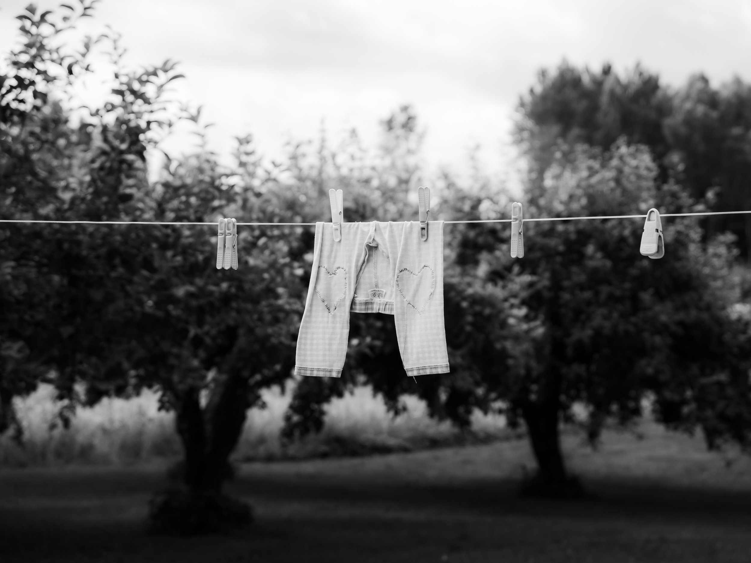 Clothes hanging on a clothesline outdoors, with trees in the background, black and white photograph.