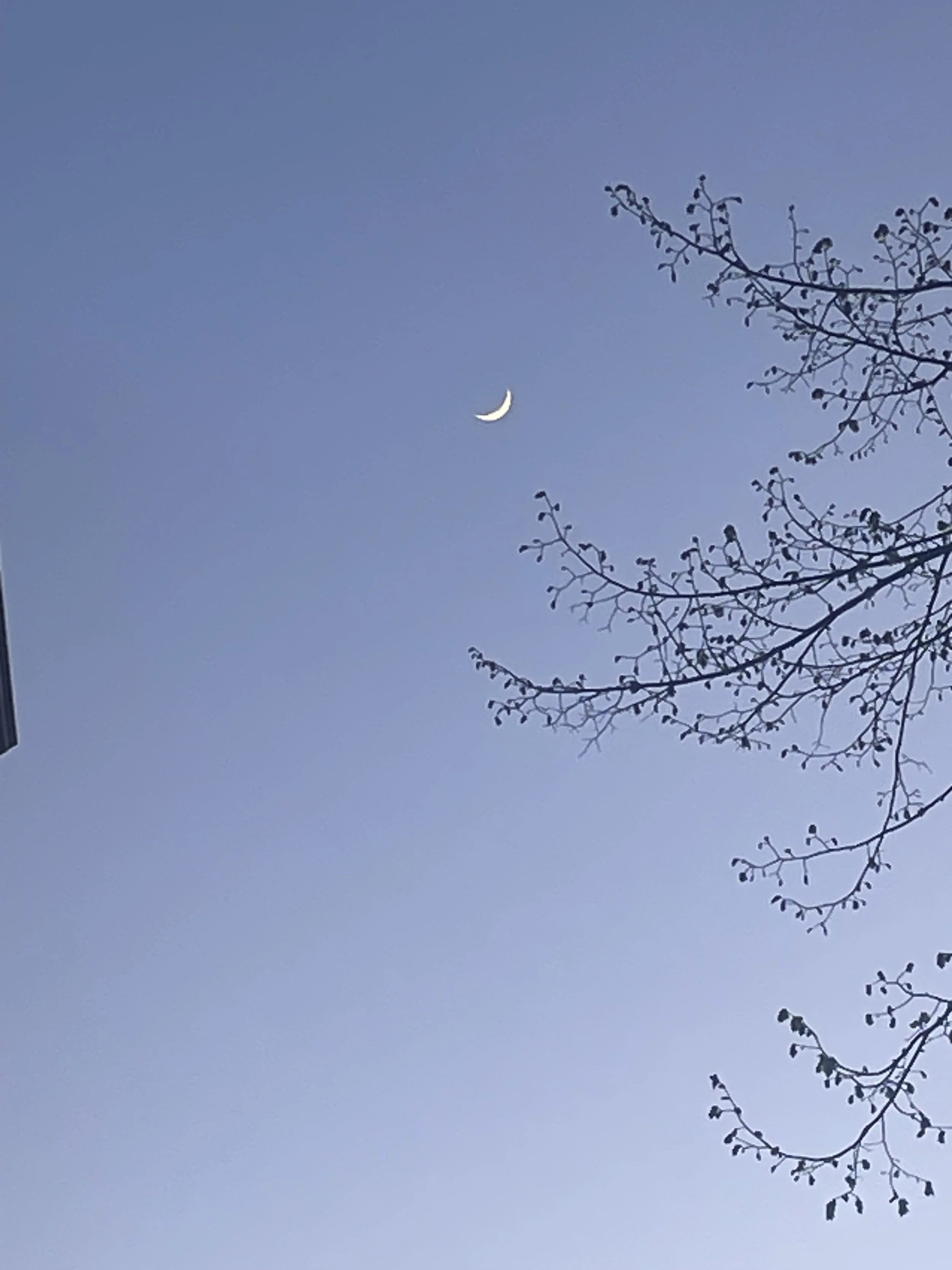 Mond und Mode.