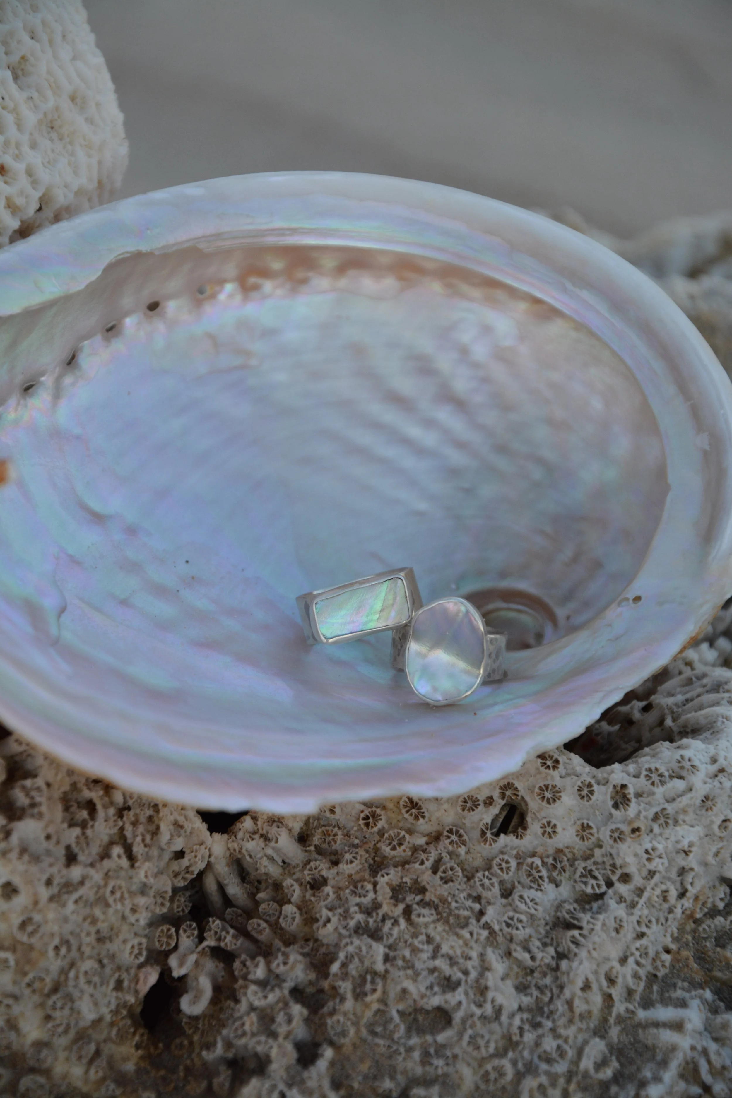 DSC_5635.JPG