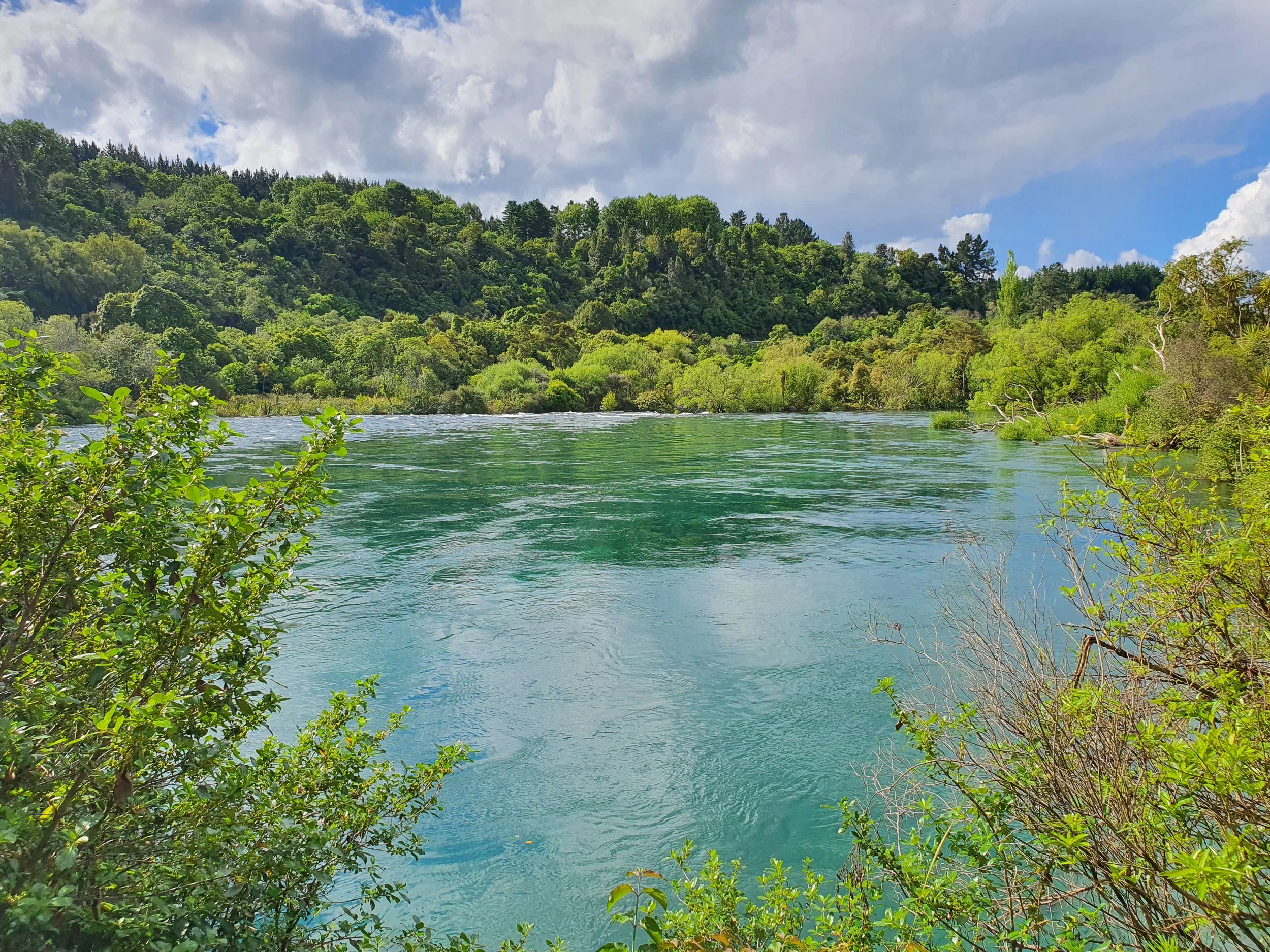 A calm body of water flows through a lush green landscape