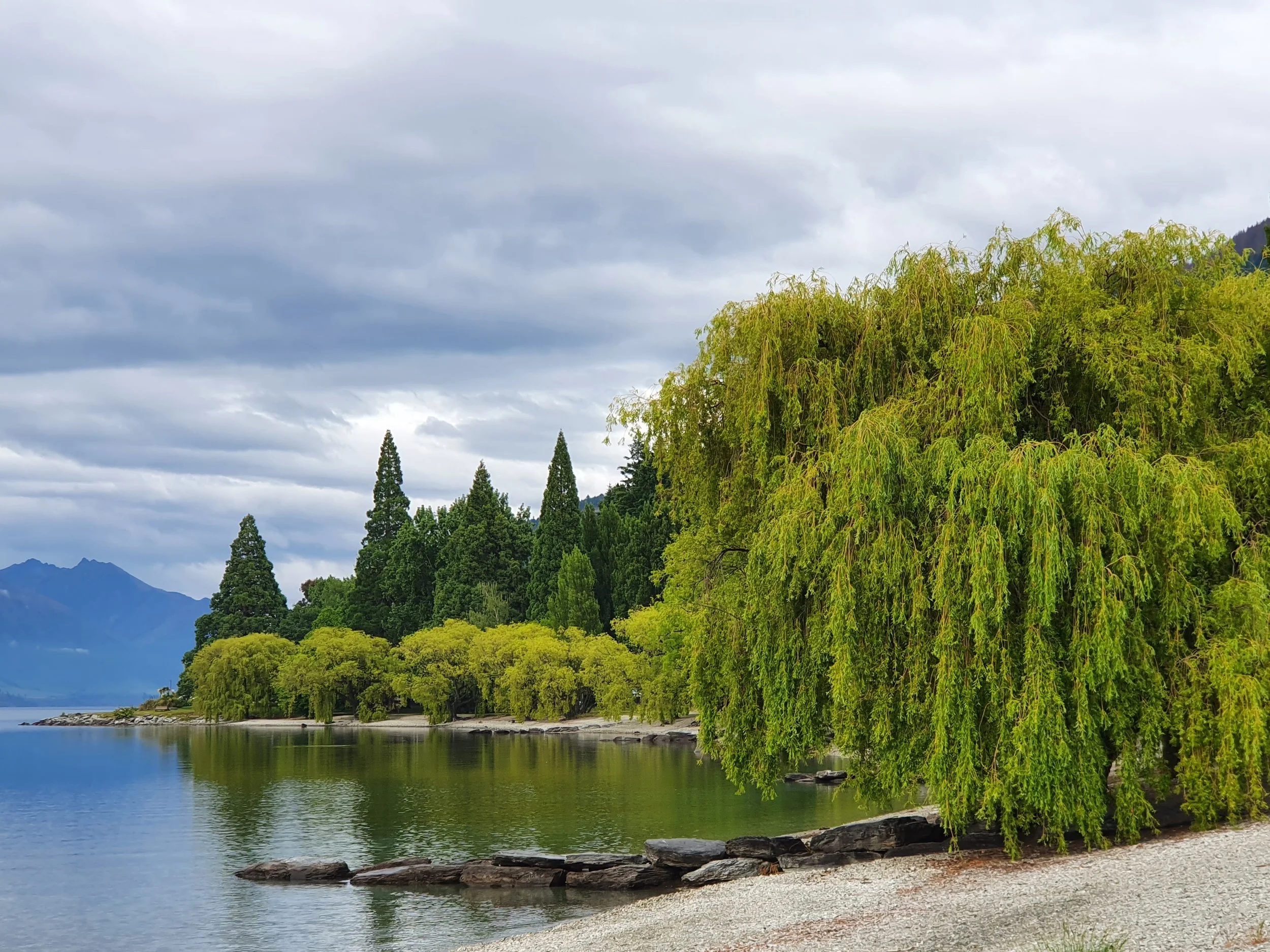 A lakeside scene with a calm water body reflecting the cloudy sky, surrounded by lush green trees.